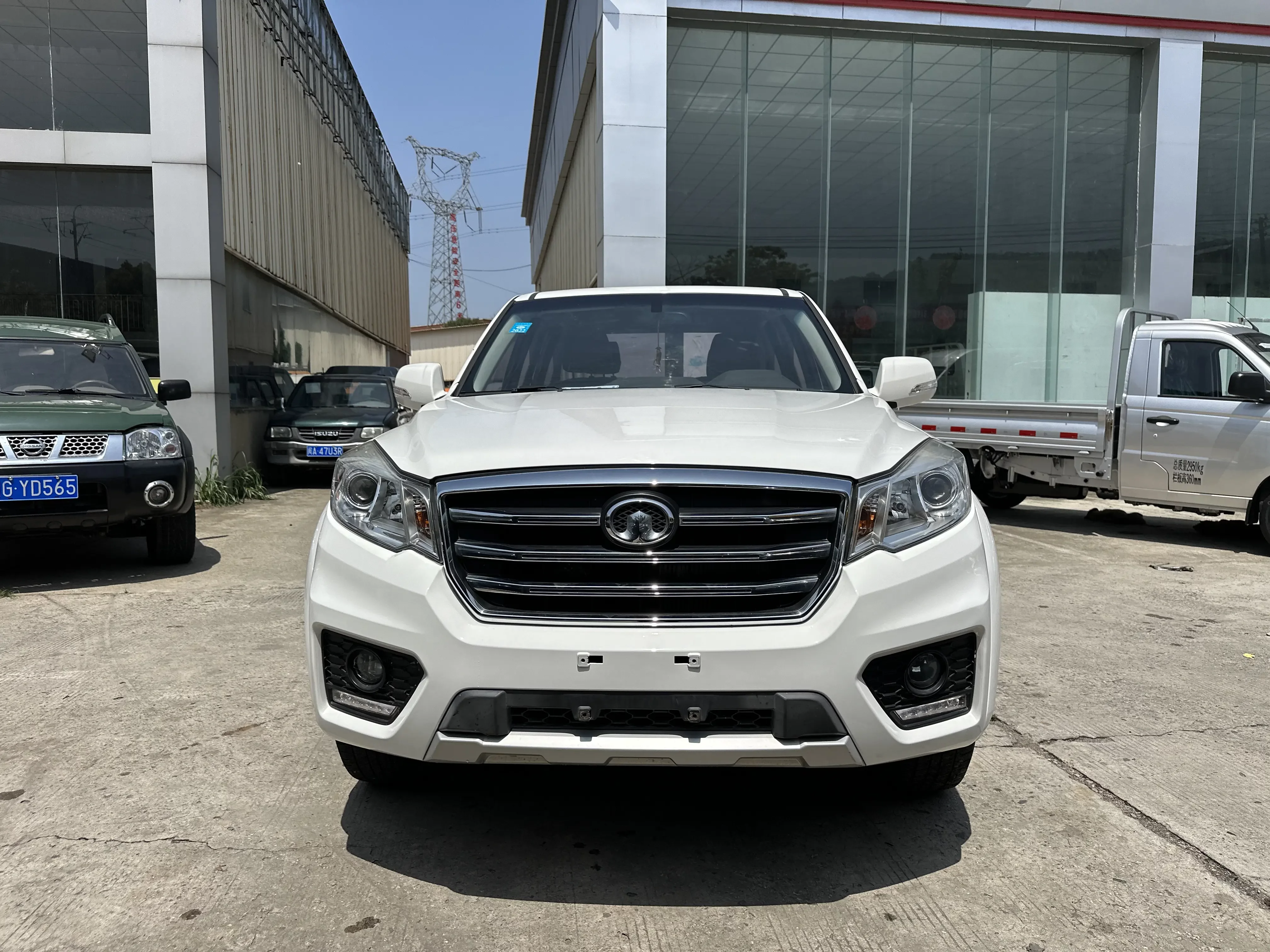 Great Wall Wing Jun 6
