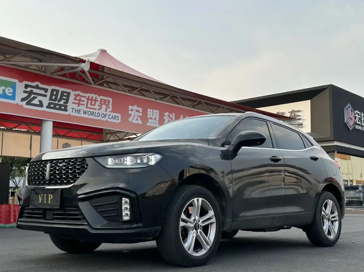 Wey Wei brand VV5