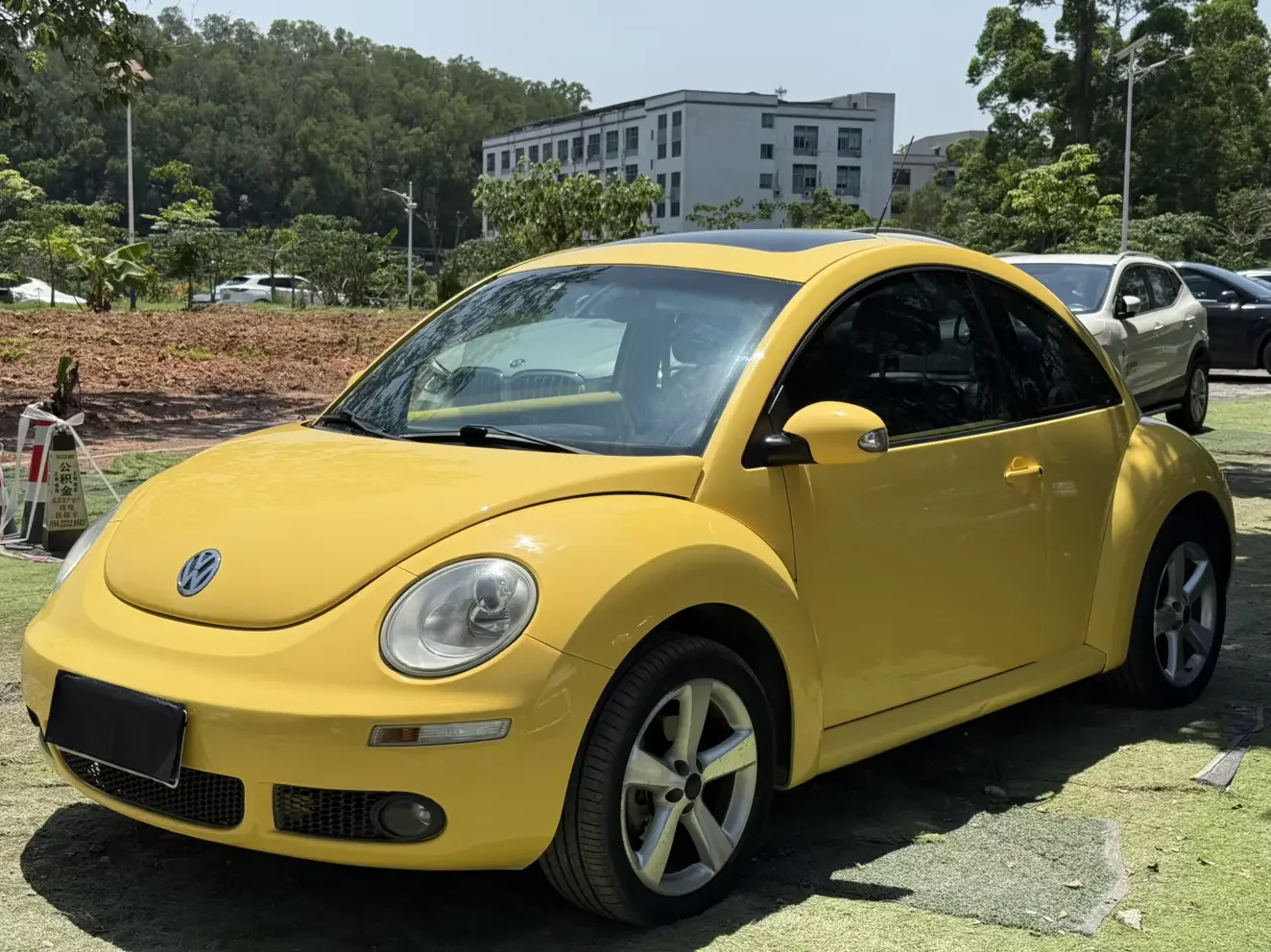 Volkswagen Beetle