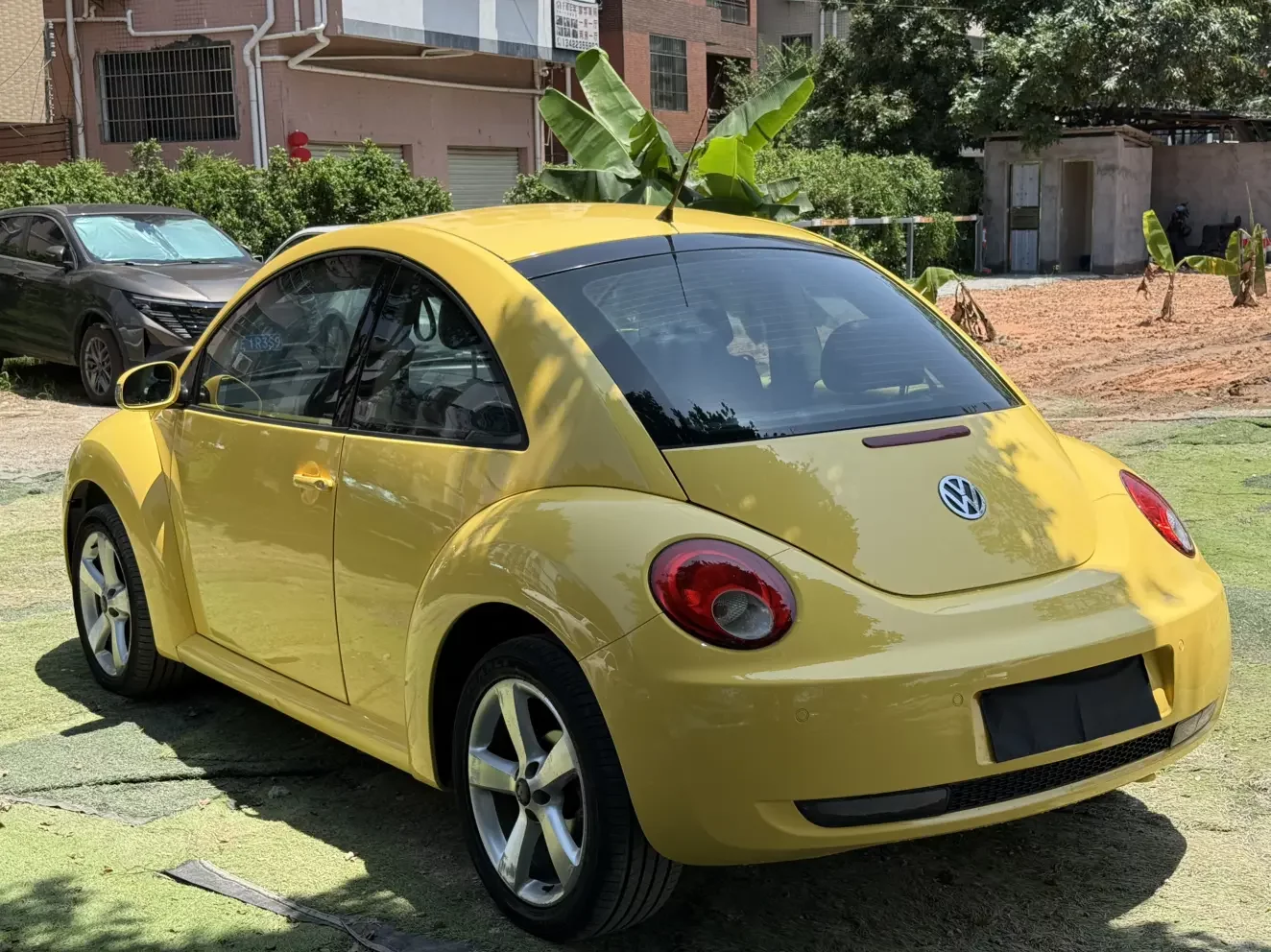 Volkswagen Beetle