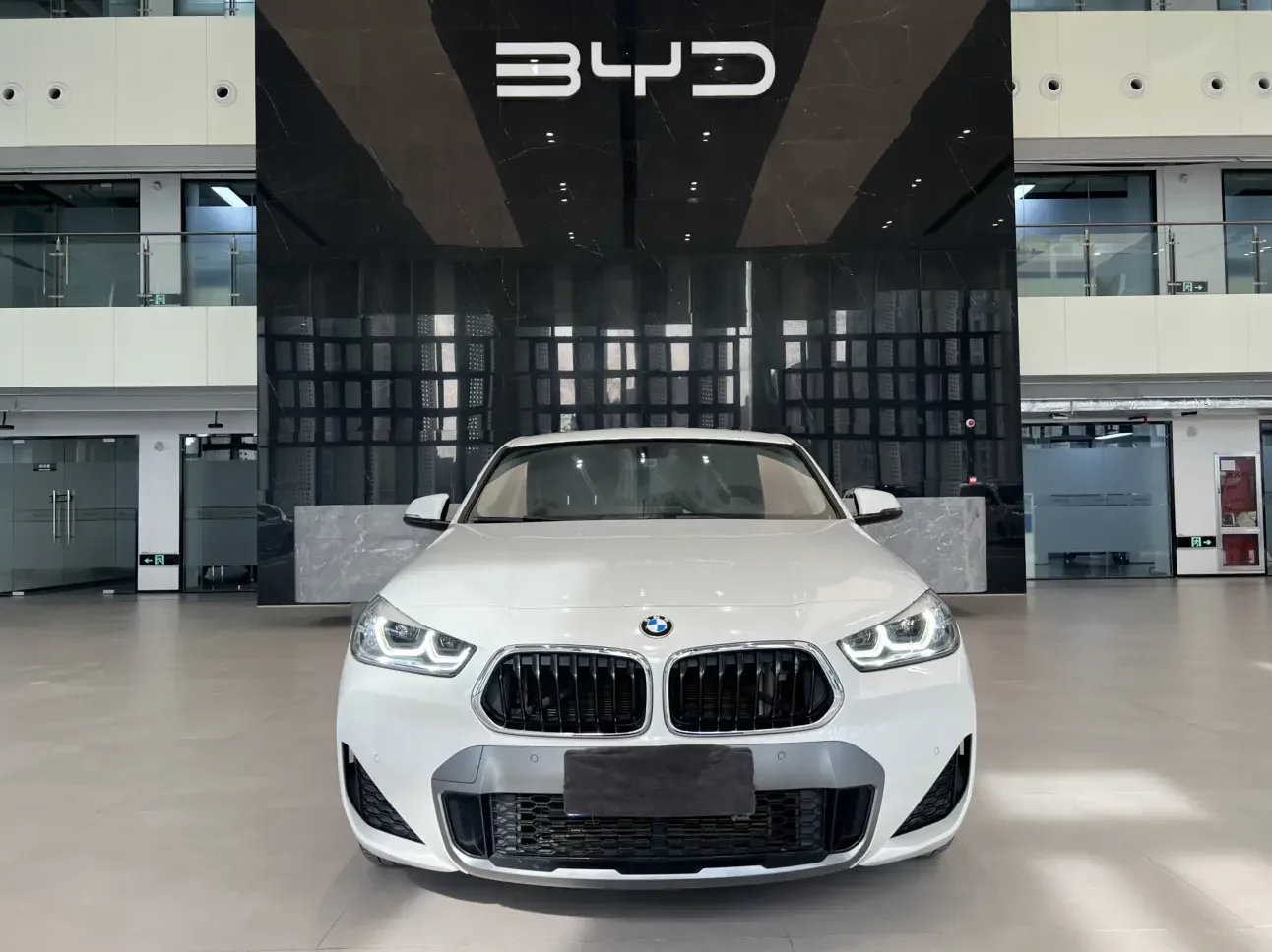 BMW X2