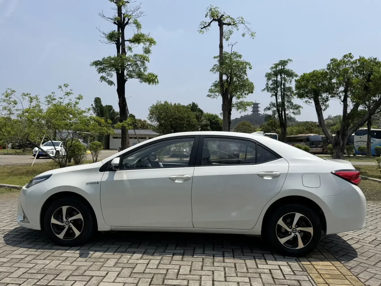 Toyota Levin