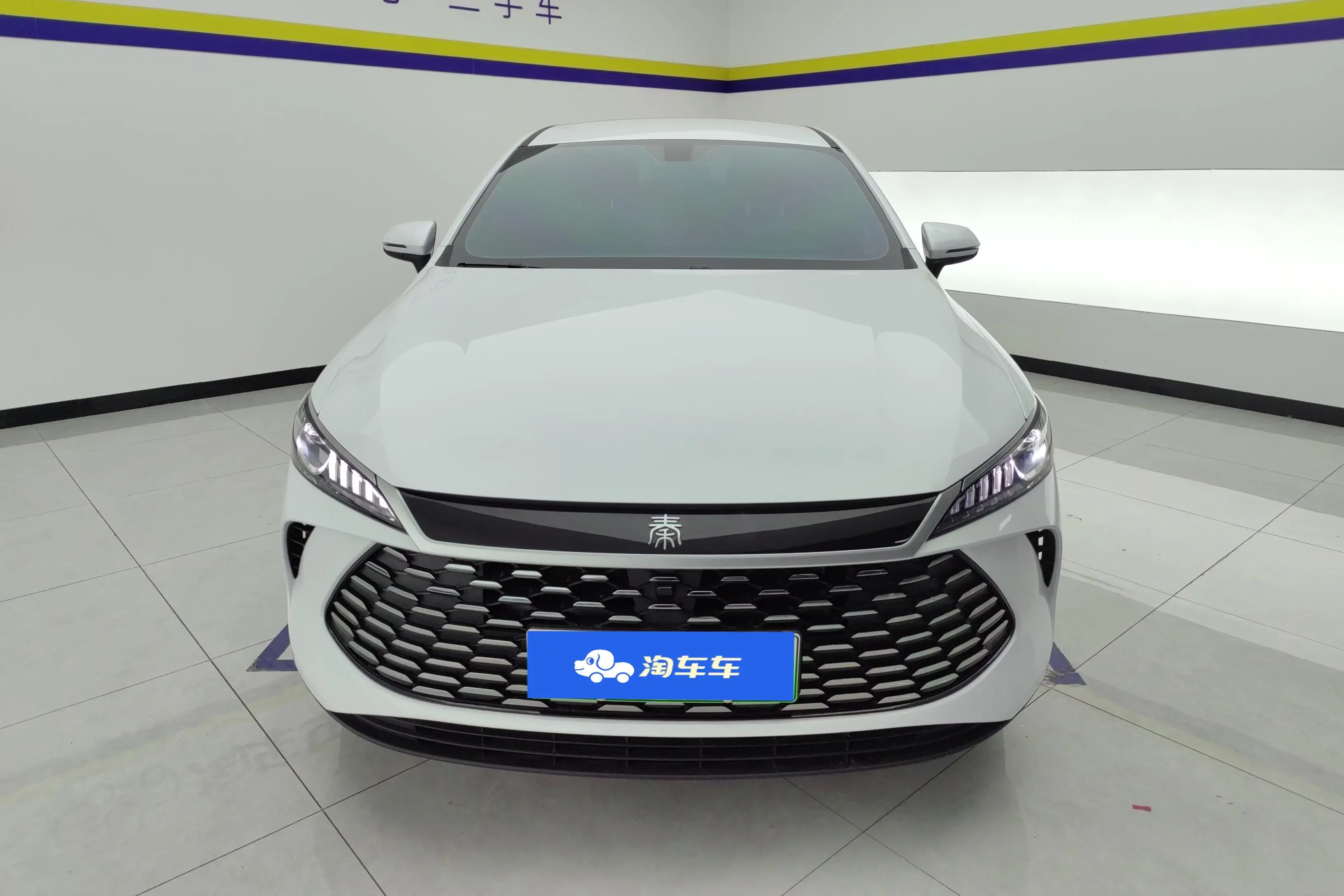 BYD Qin PLUS DM