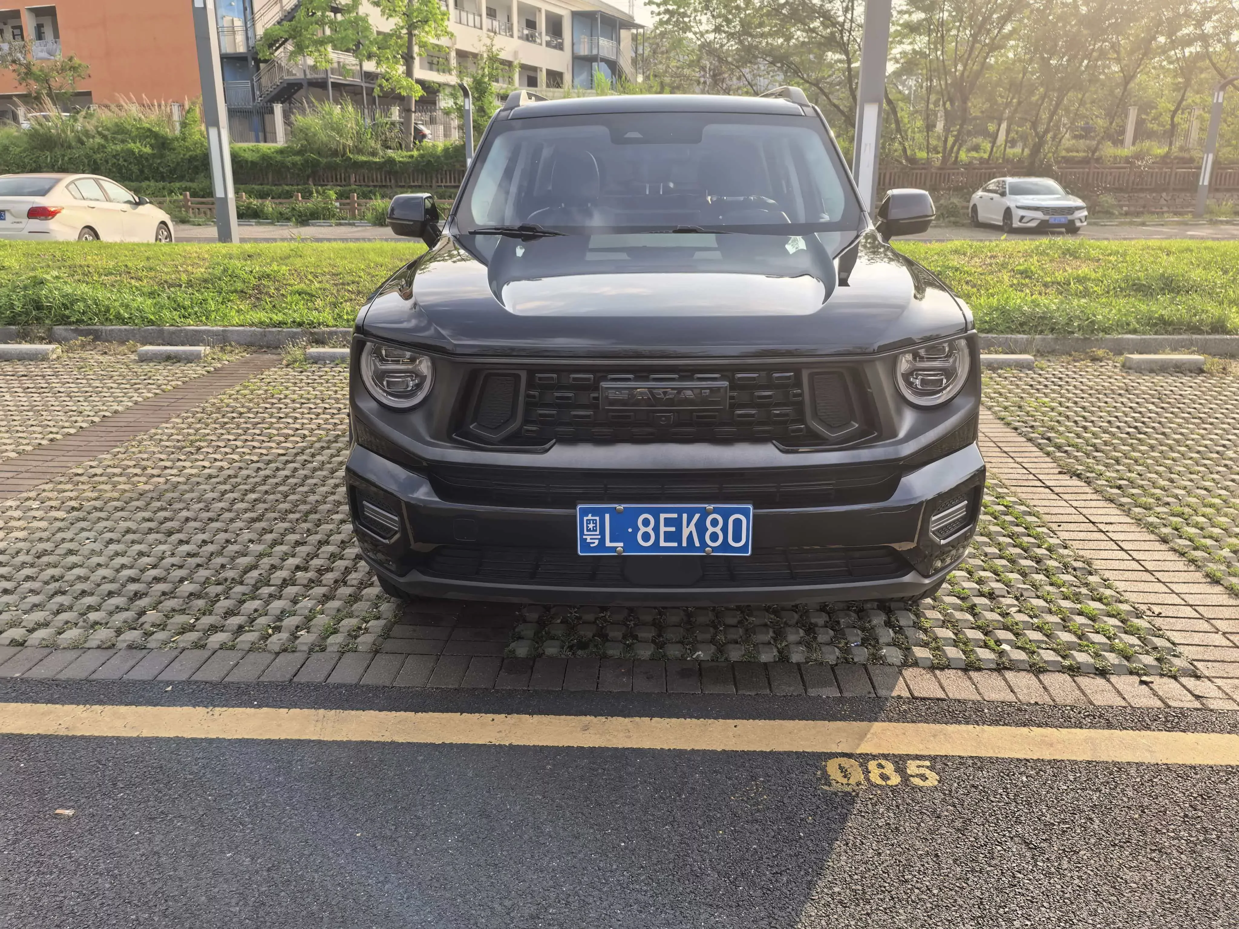 Haval Big Dog PLUS  из Китая