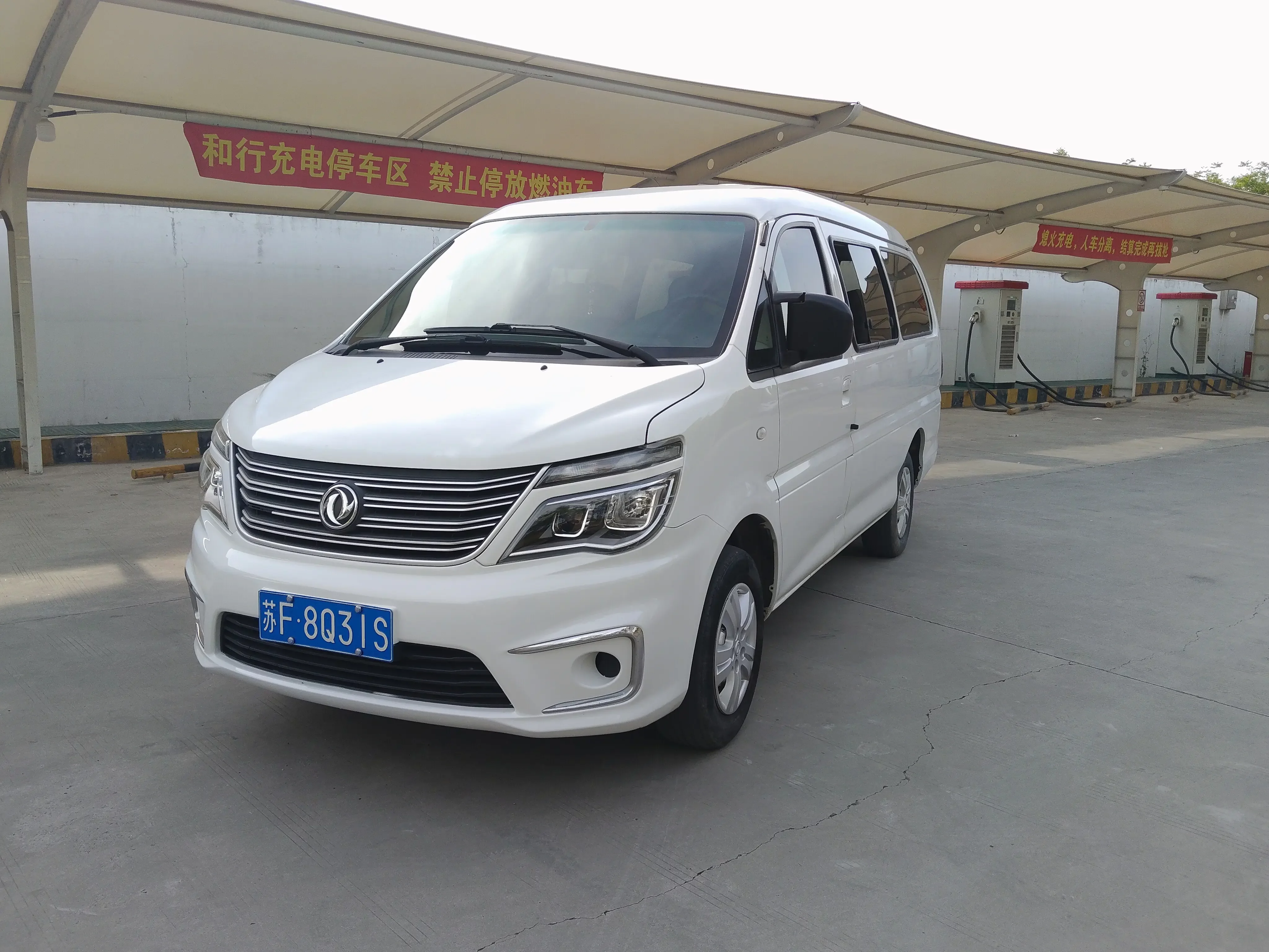 Forthing Lingzhi