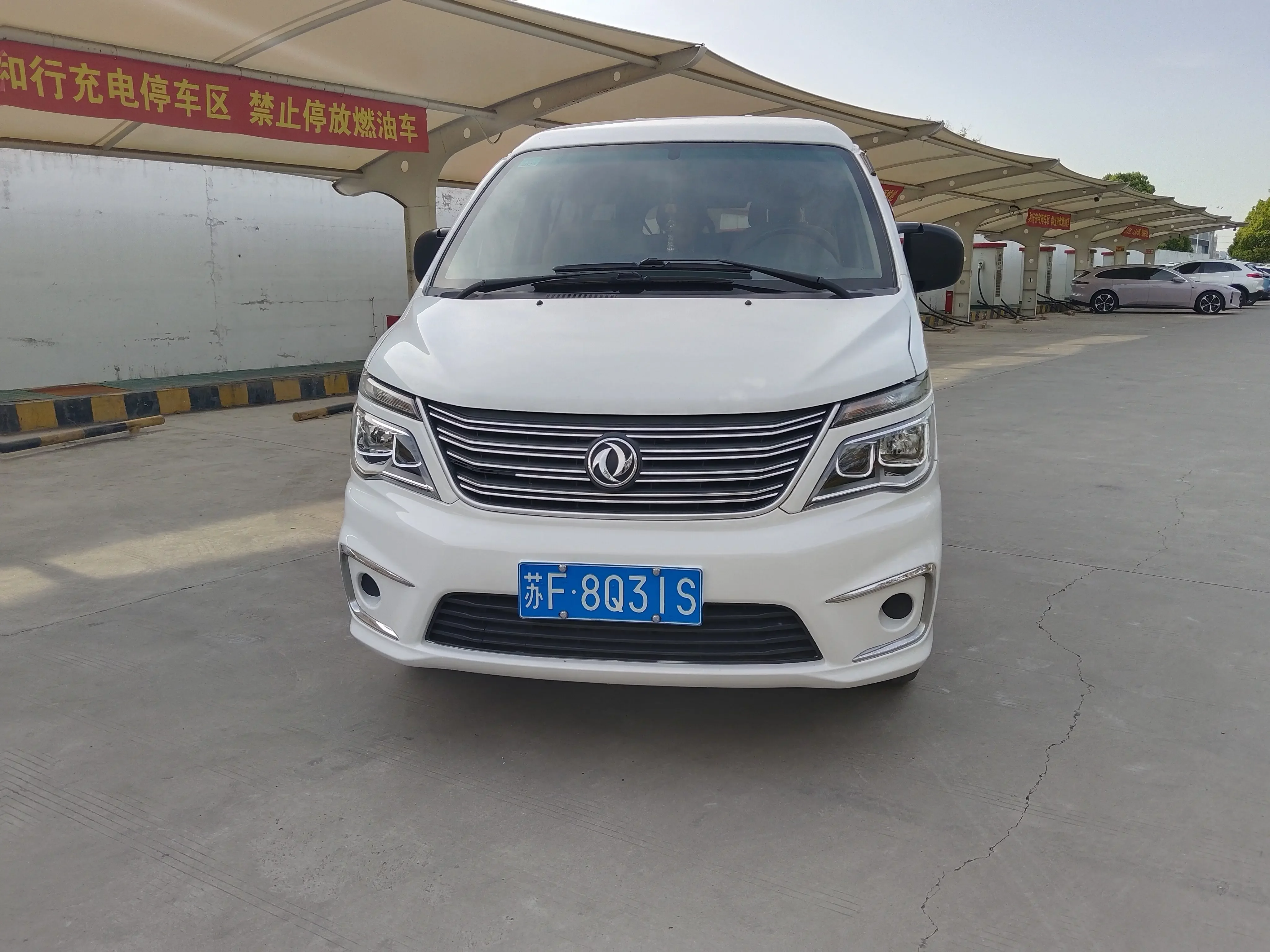 Forthing Lingzhi