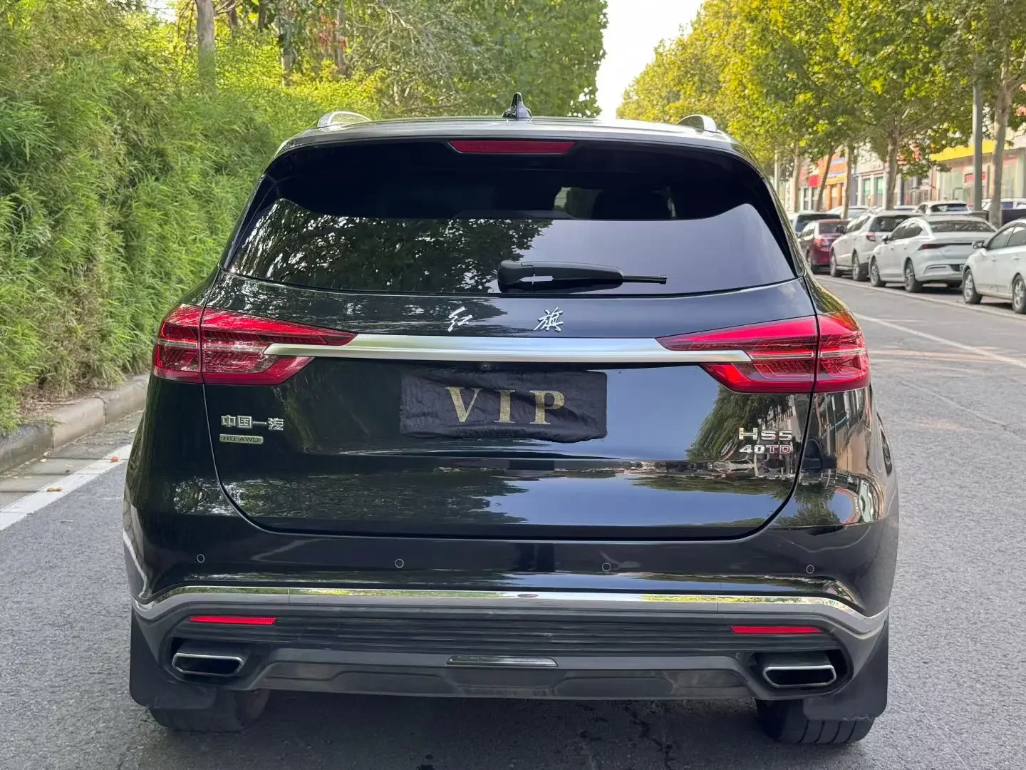 Hongqi HS5