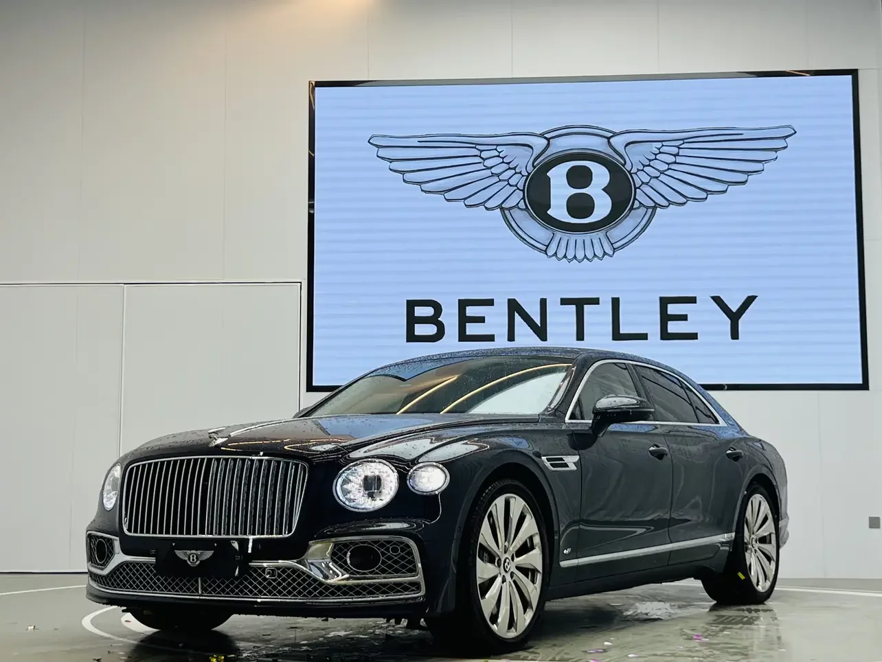 Bentley galloping