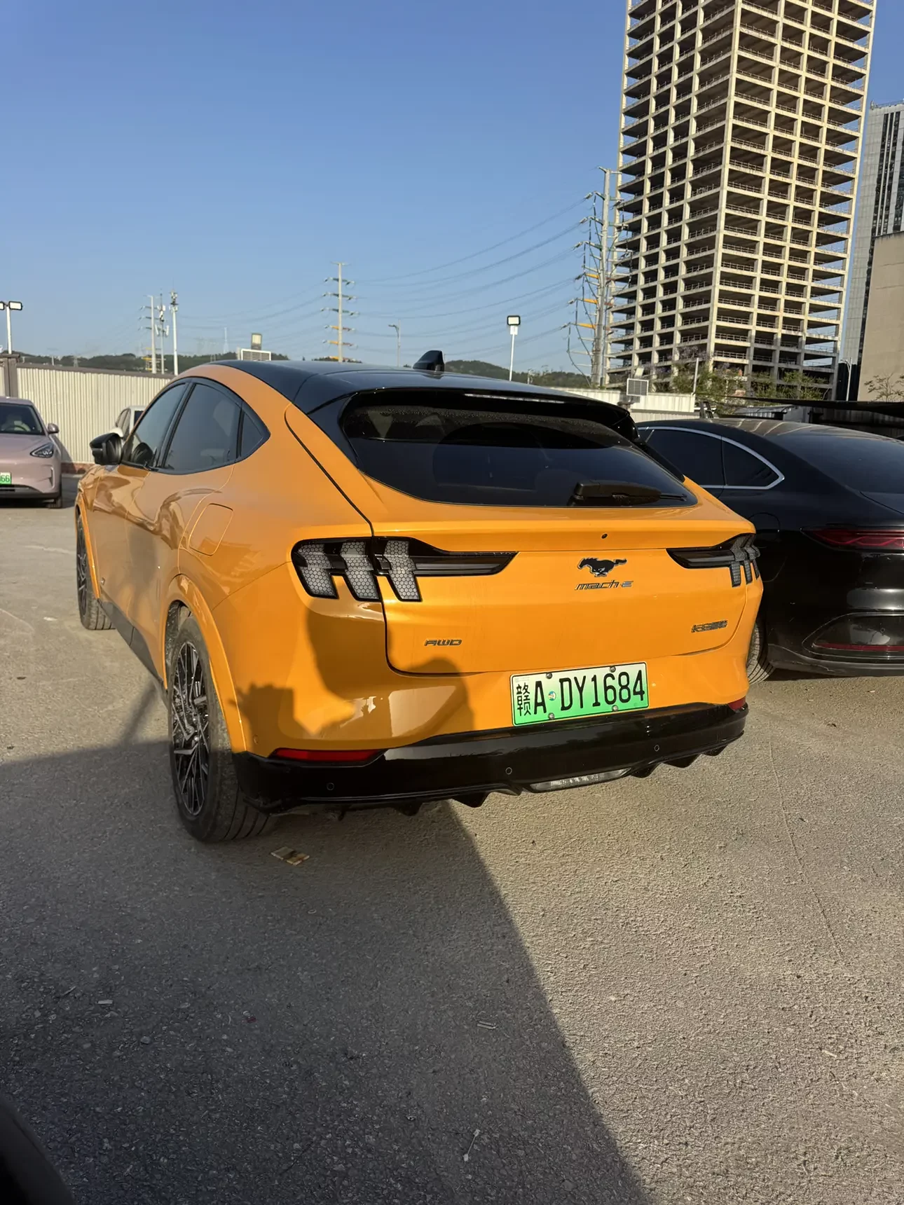 Ford electric horse