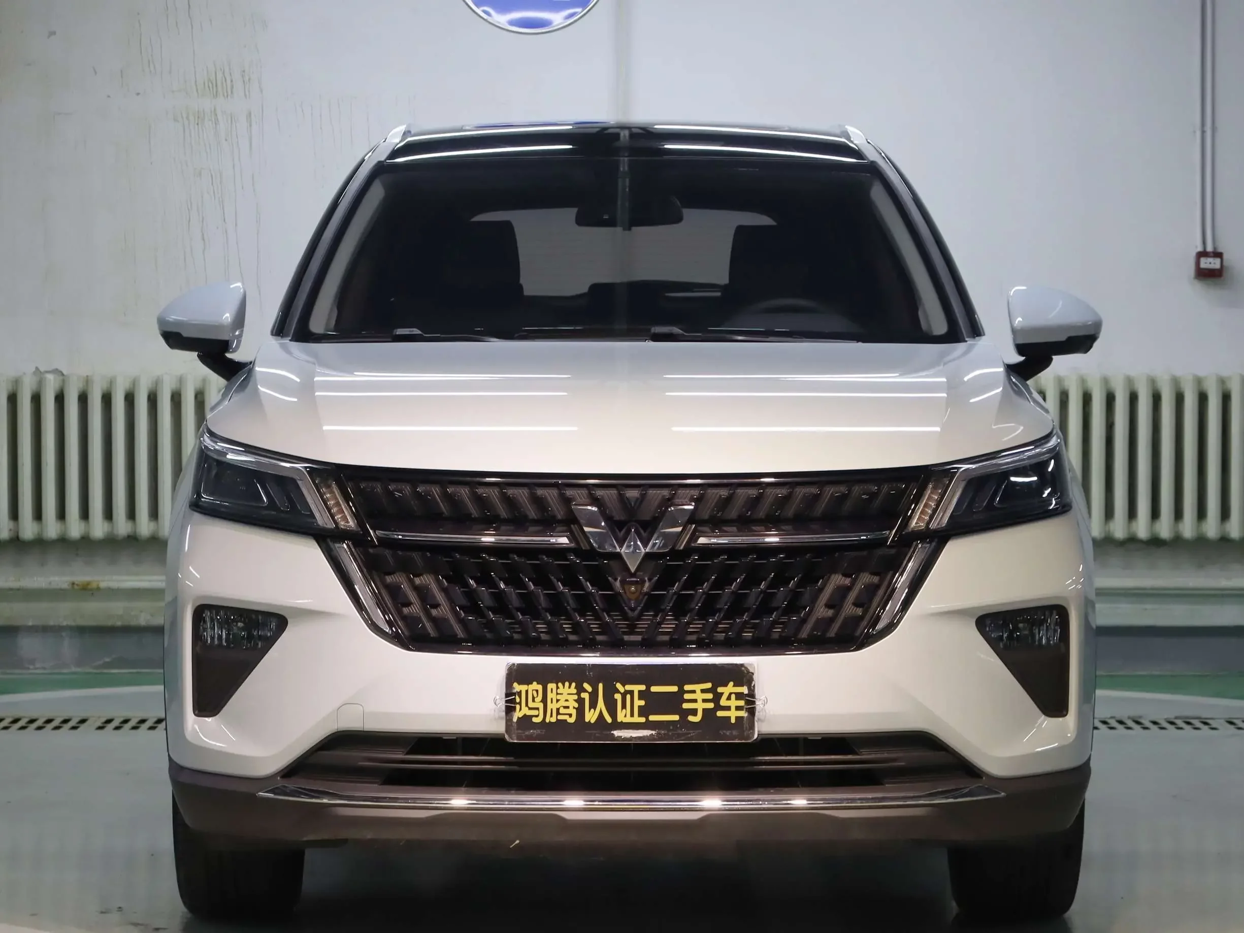 Wuling Star