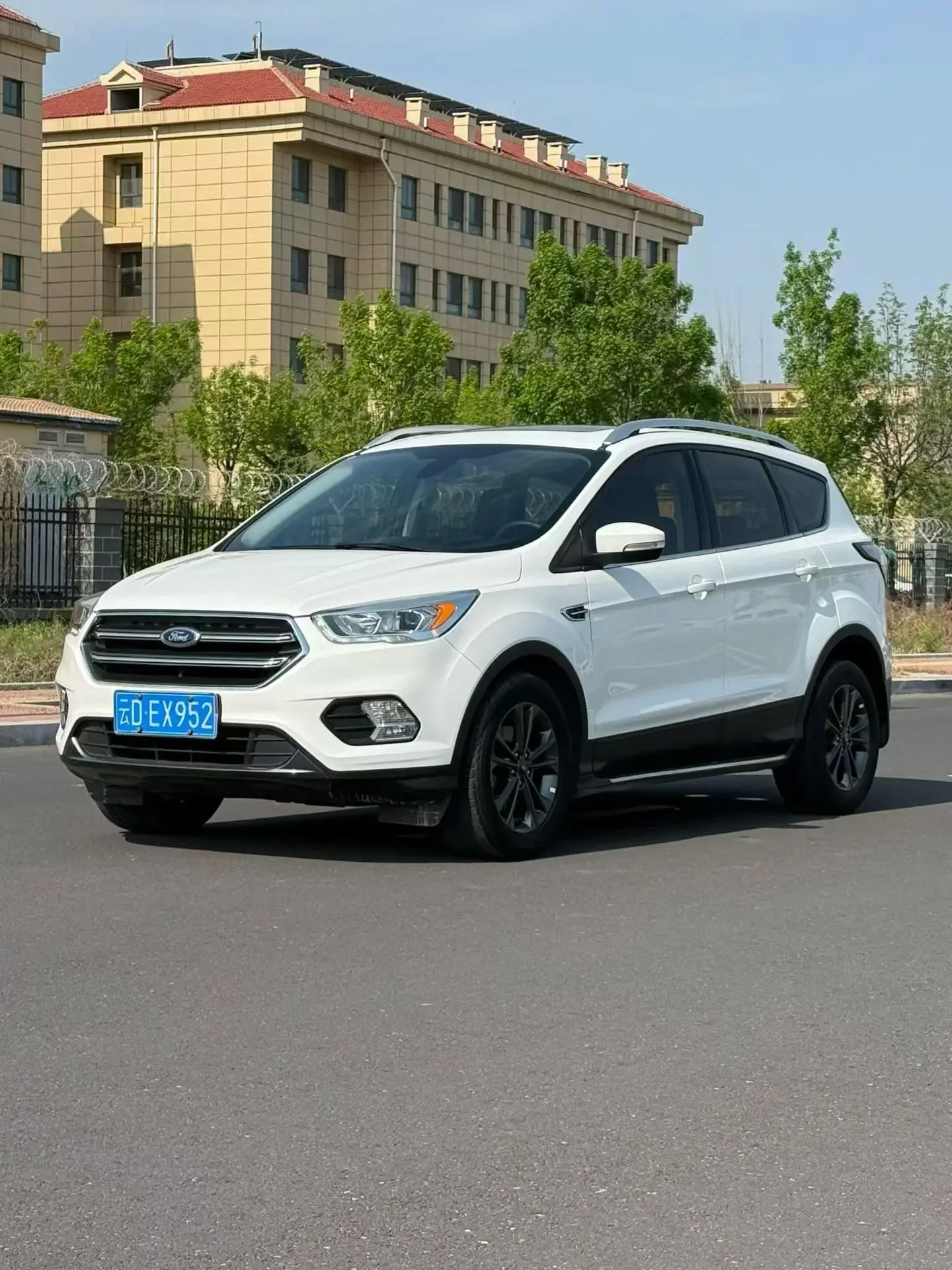 Ford wing tiger