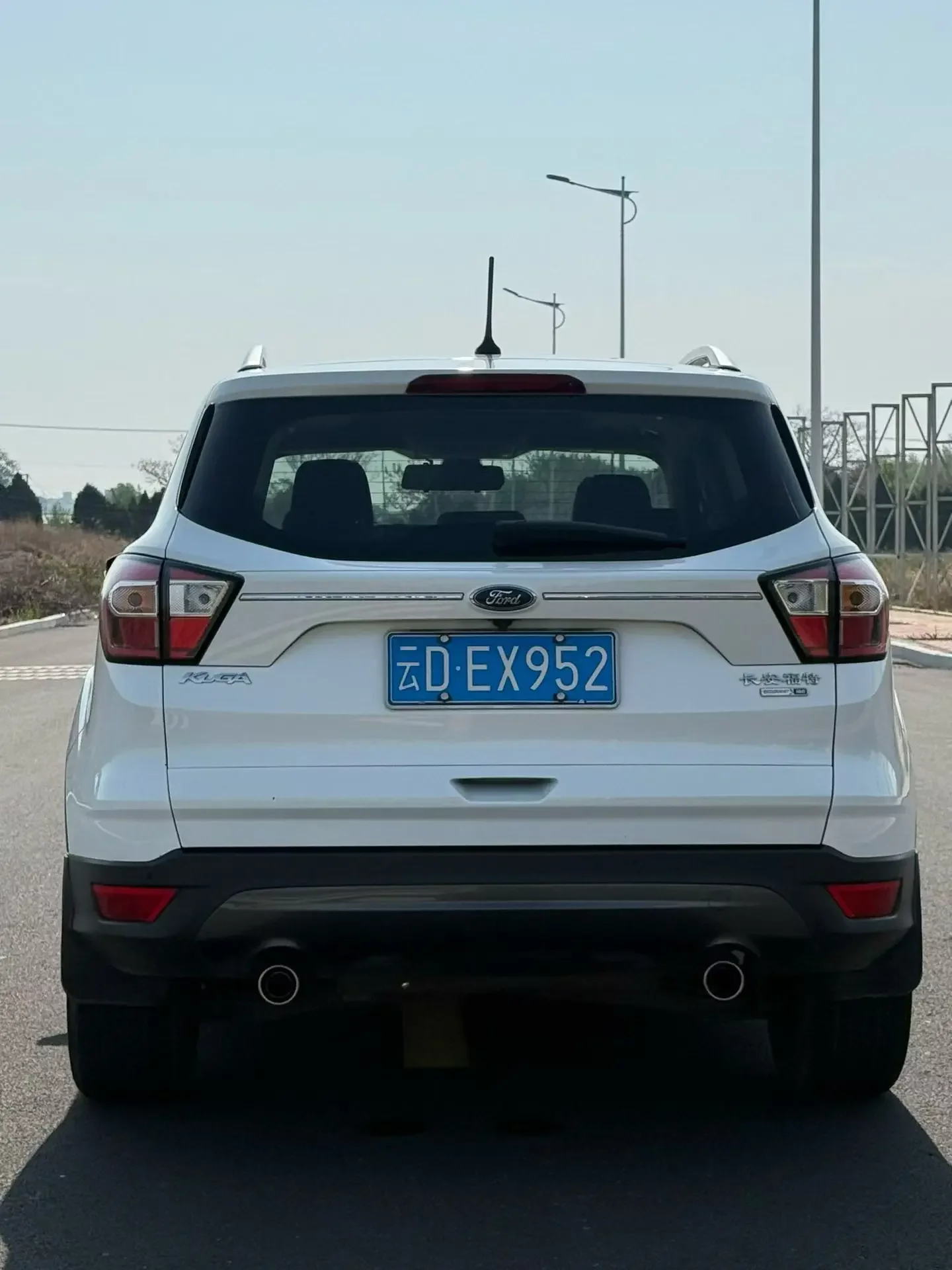 Ford wing tiger
