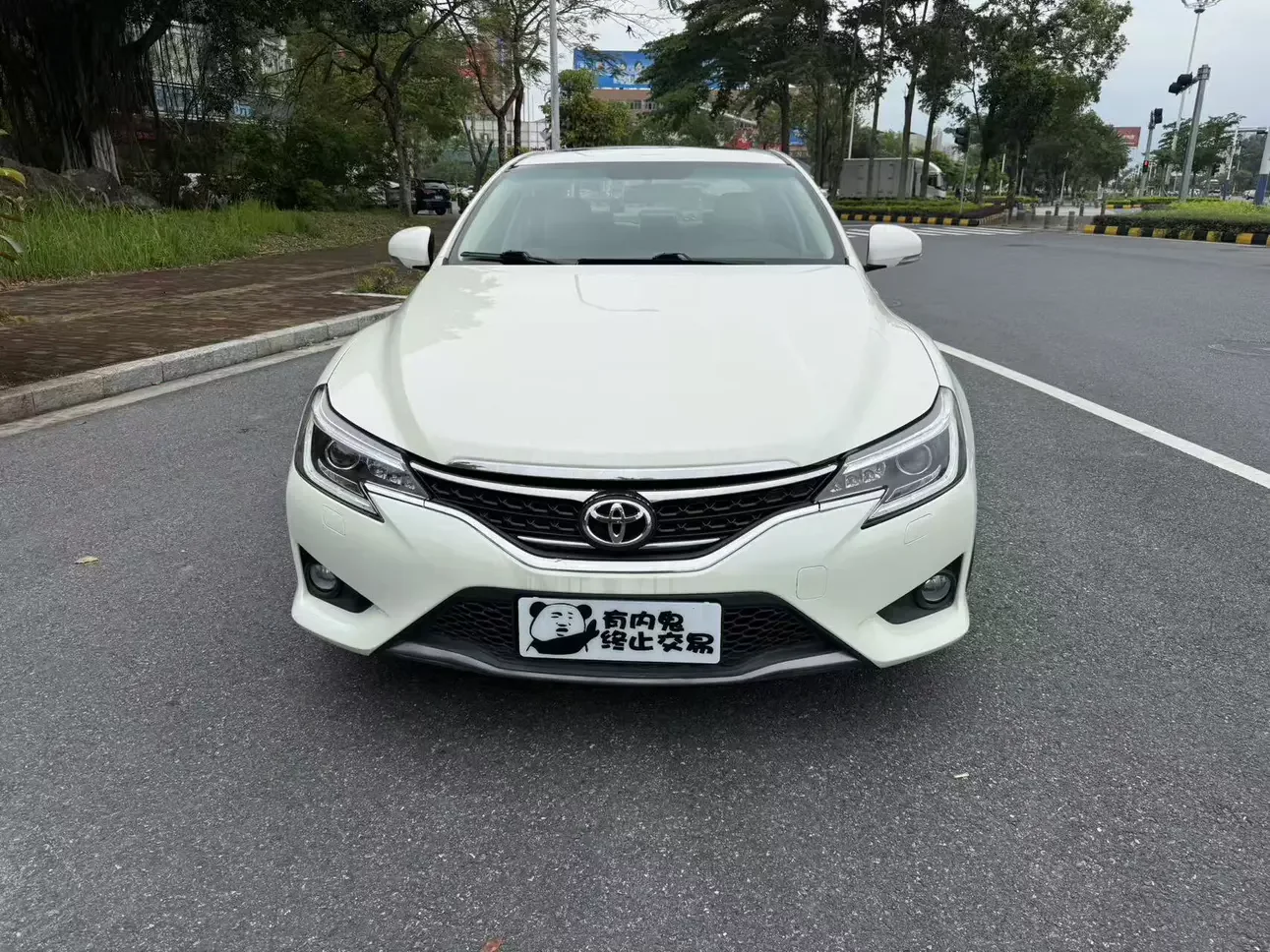 Toyota Ruizhi