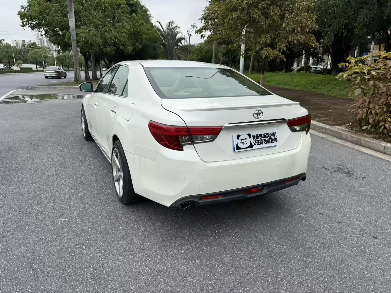 Toyota Ruizhi