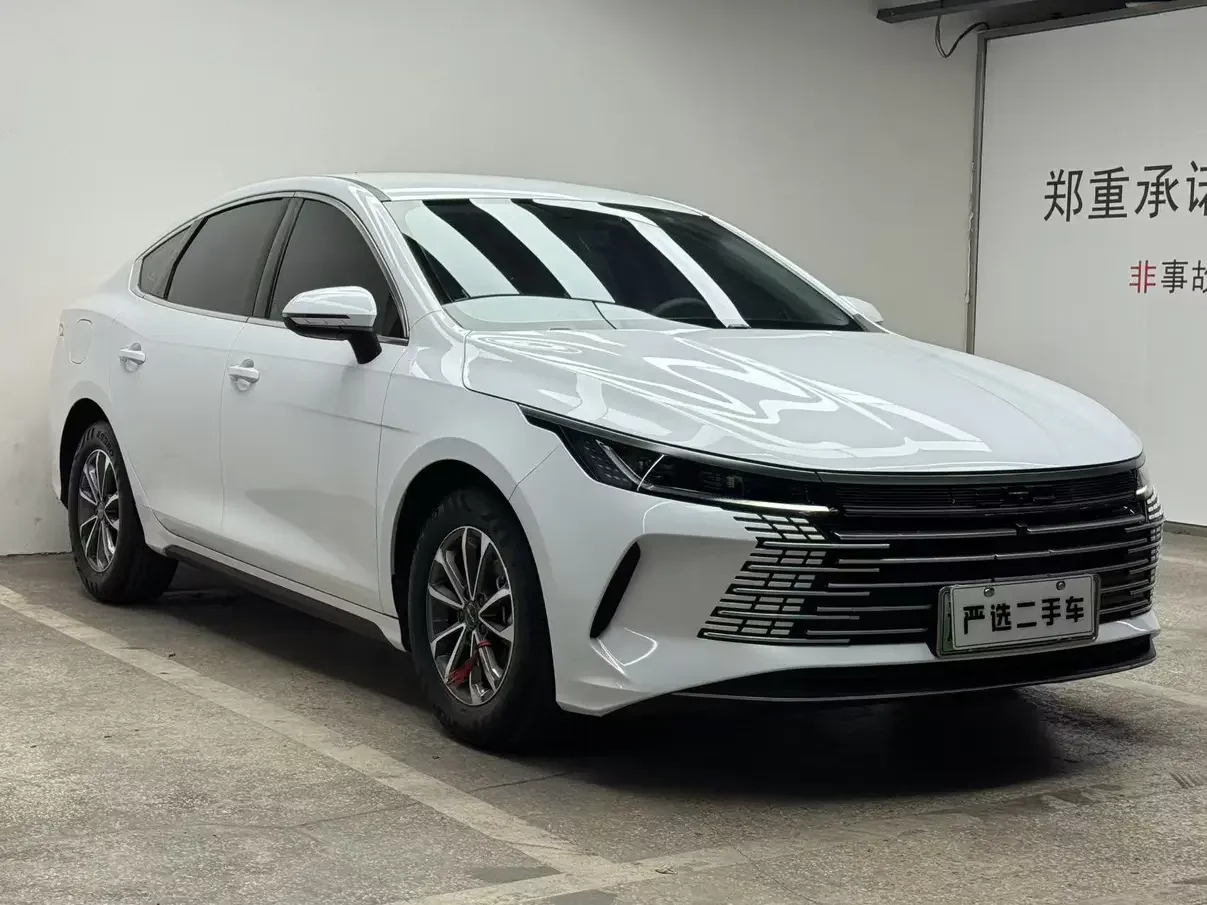 BYD Destroyer 05