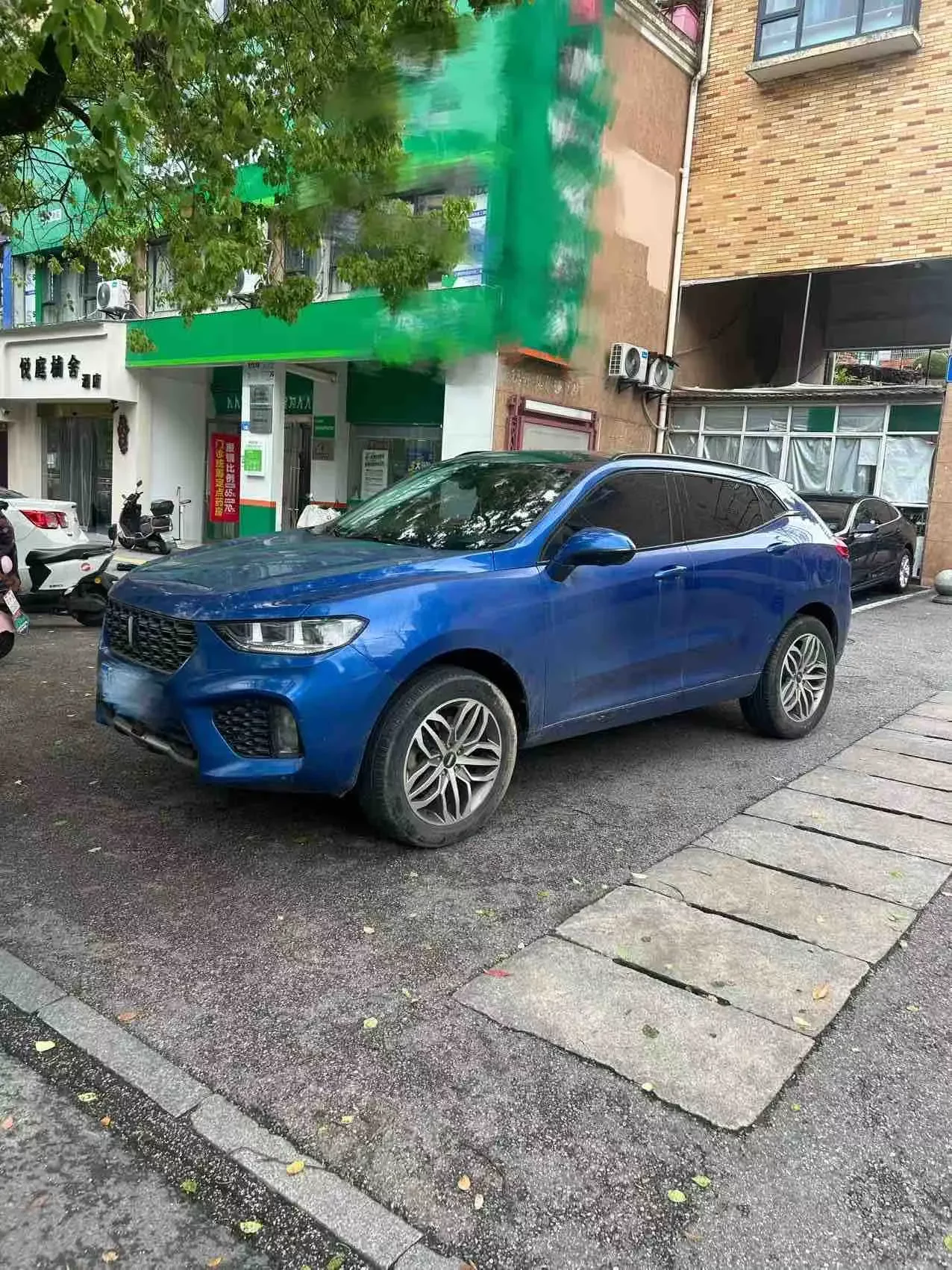 Wey Wei brand VV5