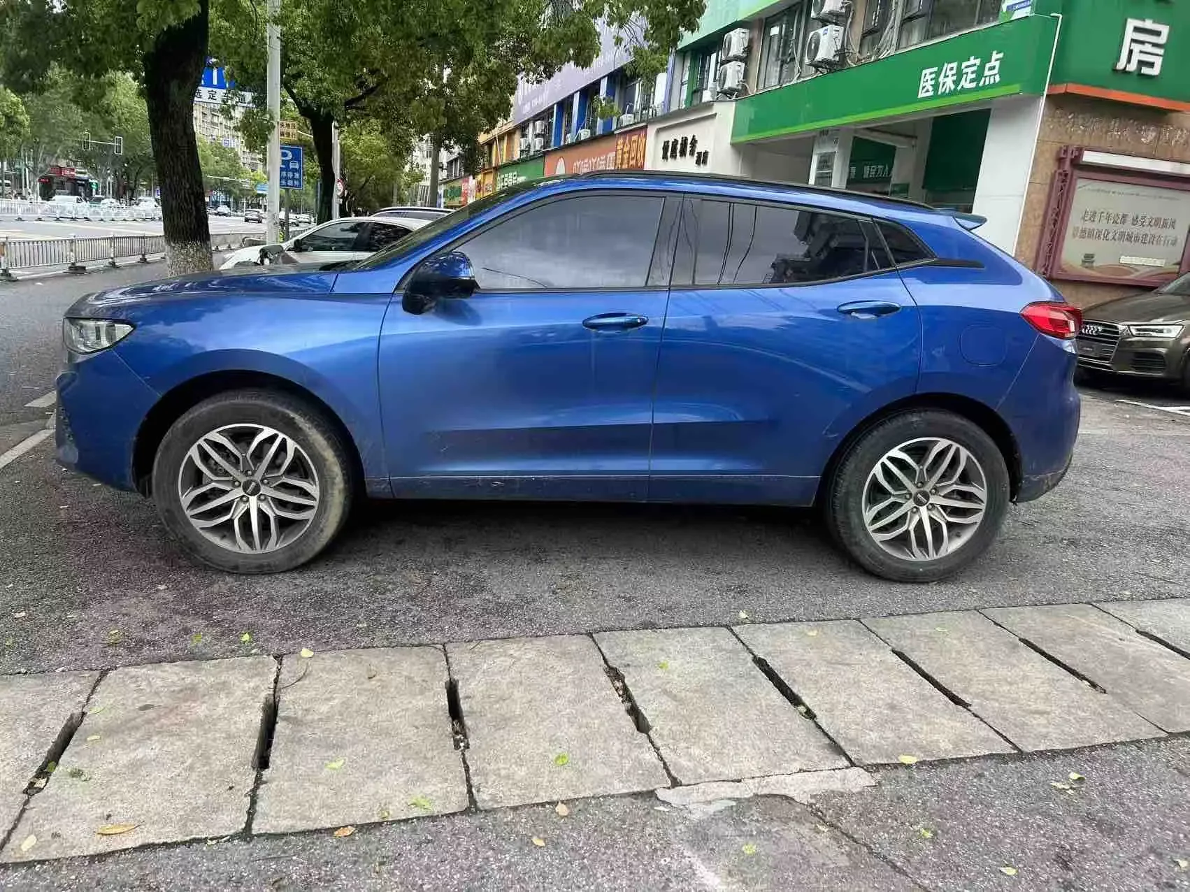 Wey Wei brand VV5