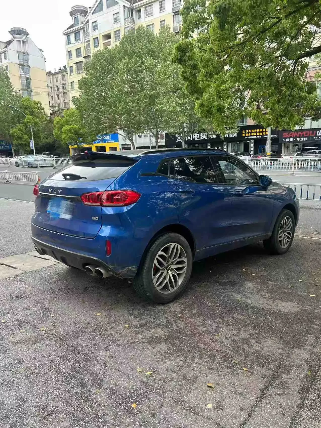 Wey Wei brand VV5