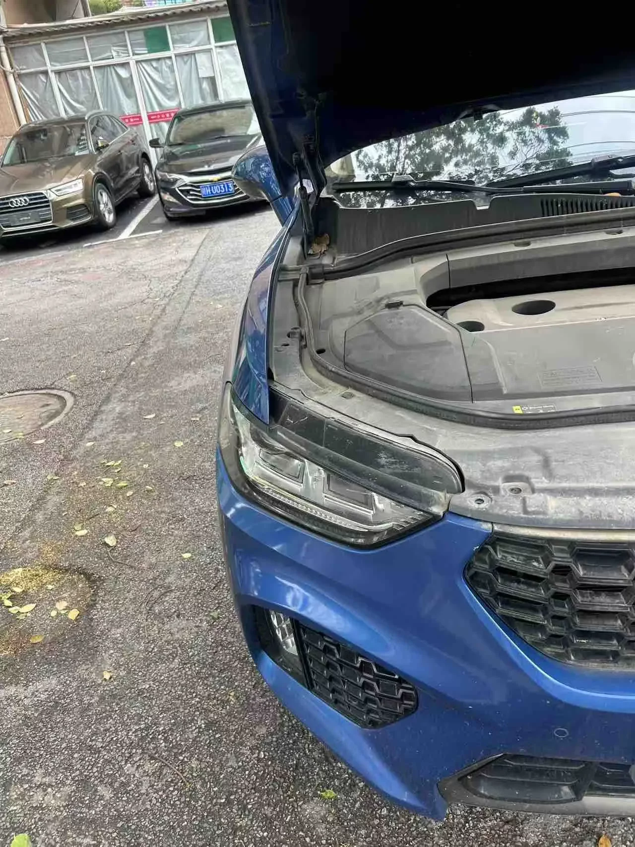 Wey Wei brand VV5