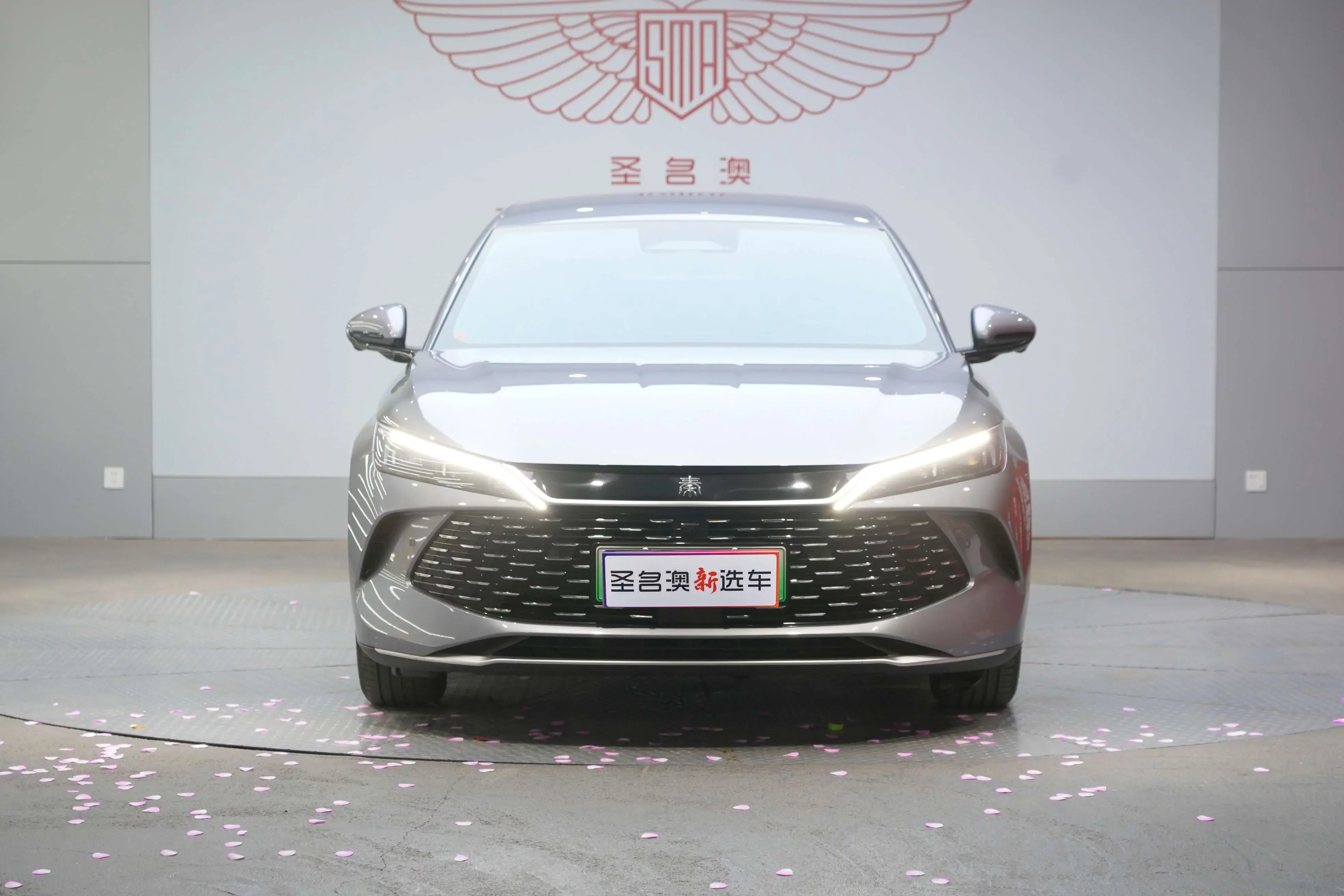 BYD Qin L DM