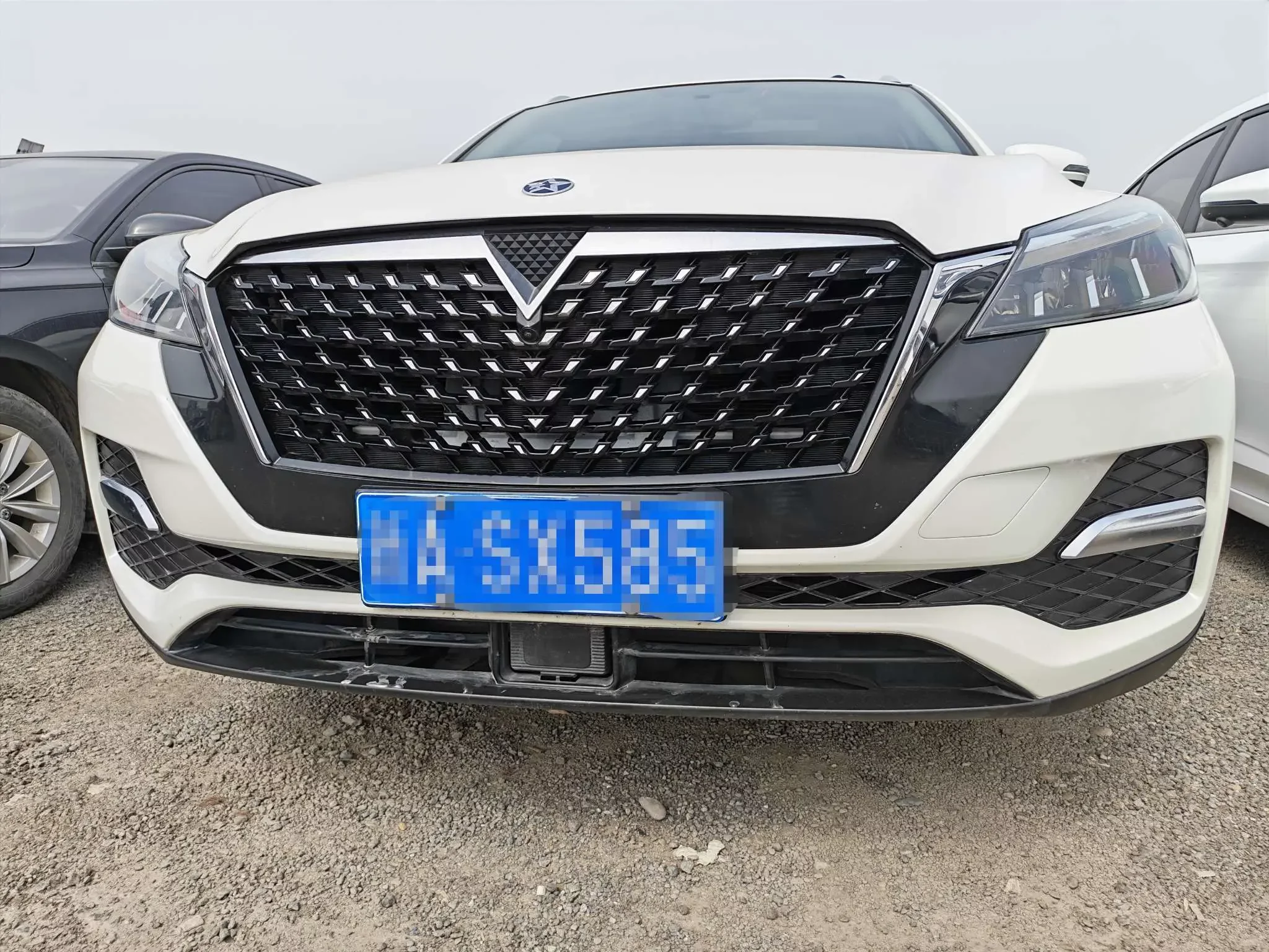 Kai Chen Venucia T90