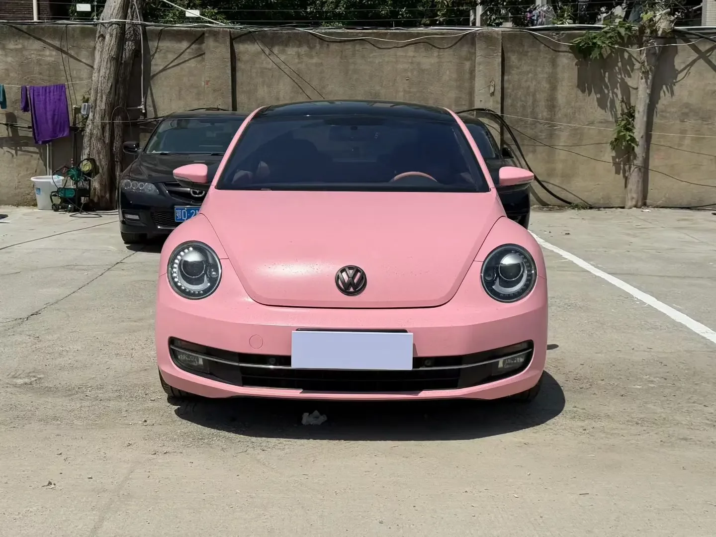 Volkswagen Beetle