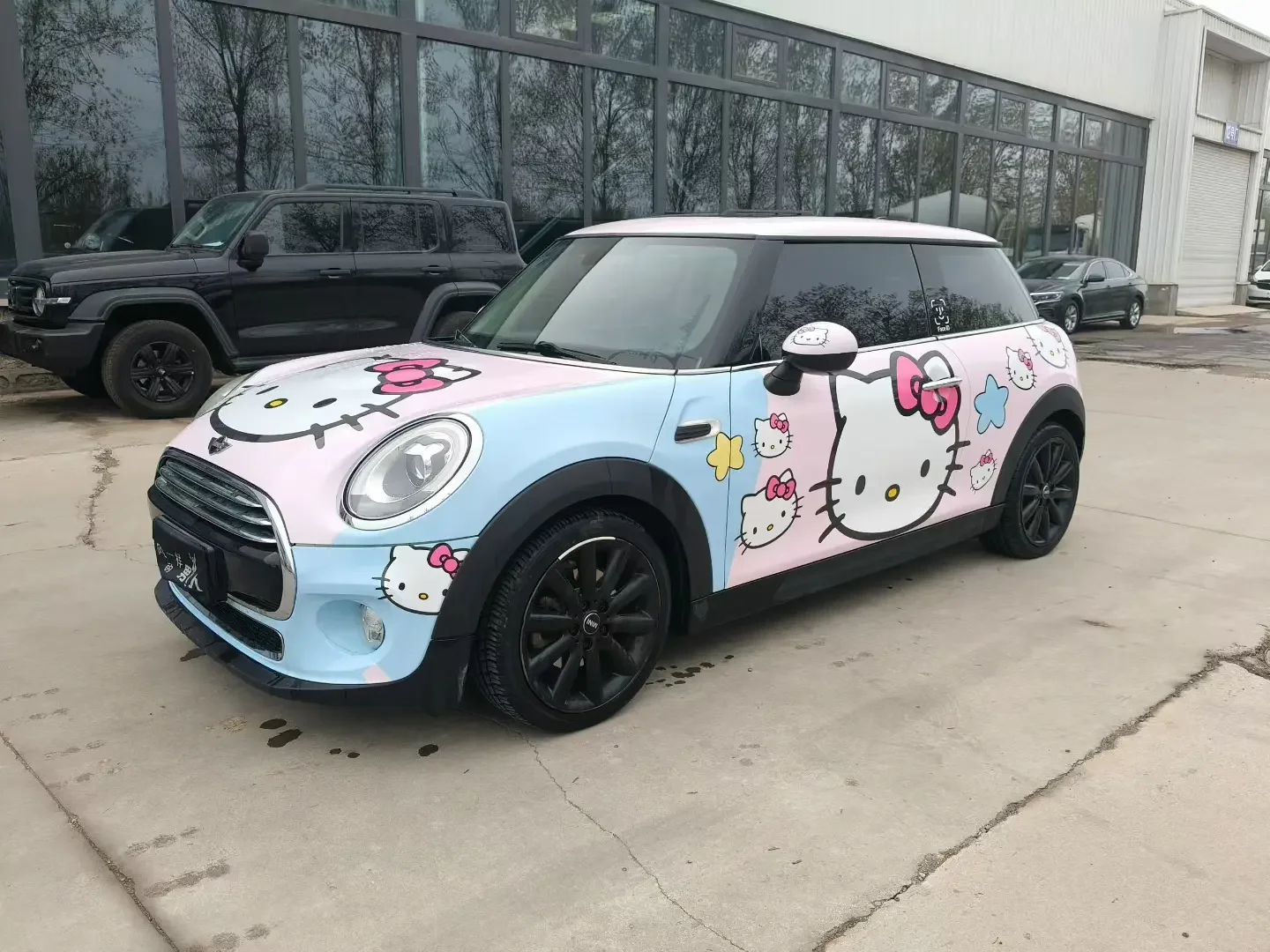 MINI MINI  из Китая