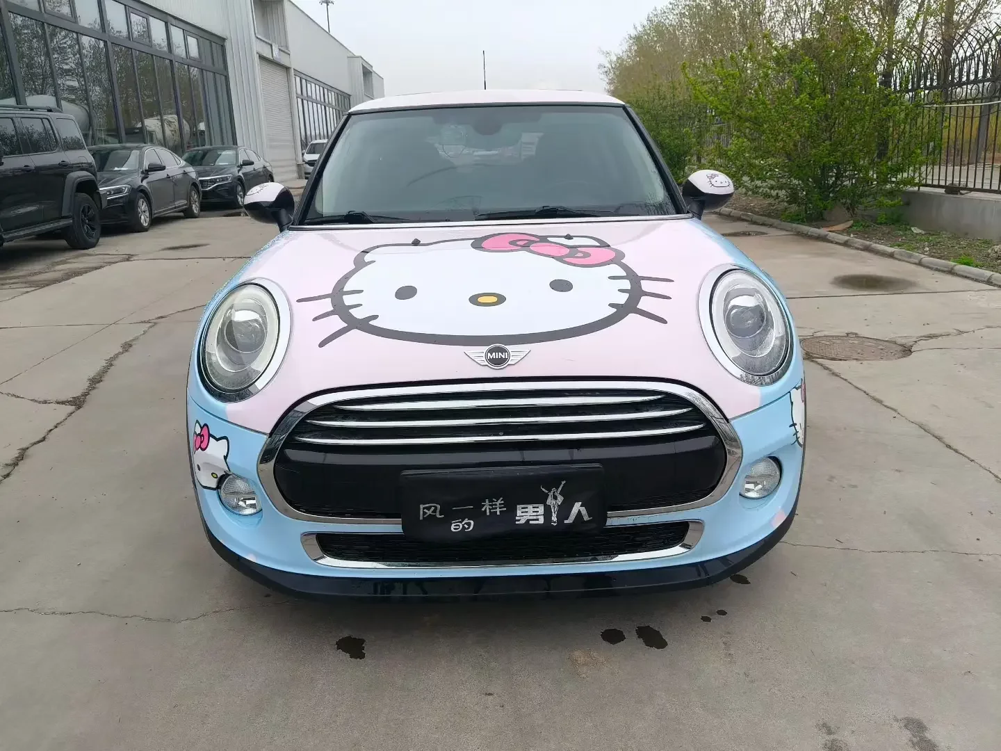 MINI MINI  из Китая