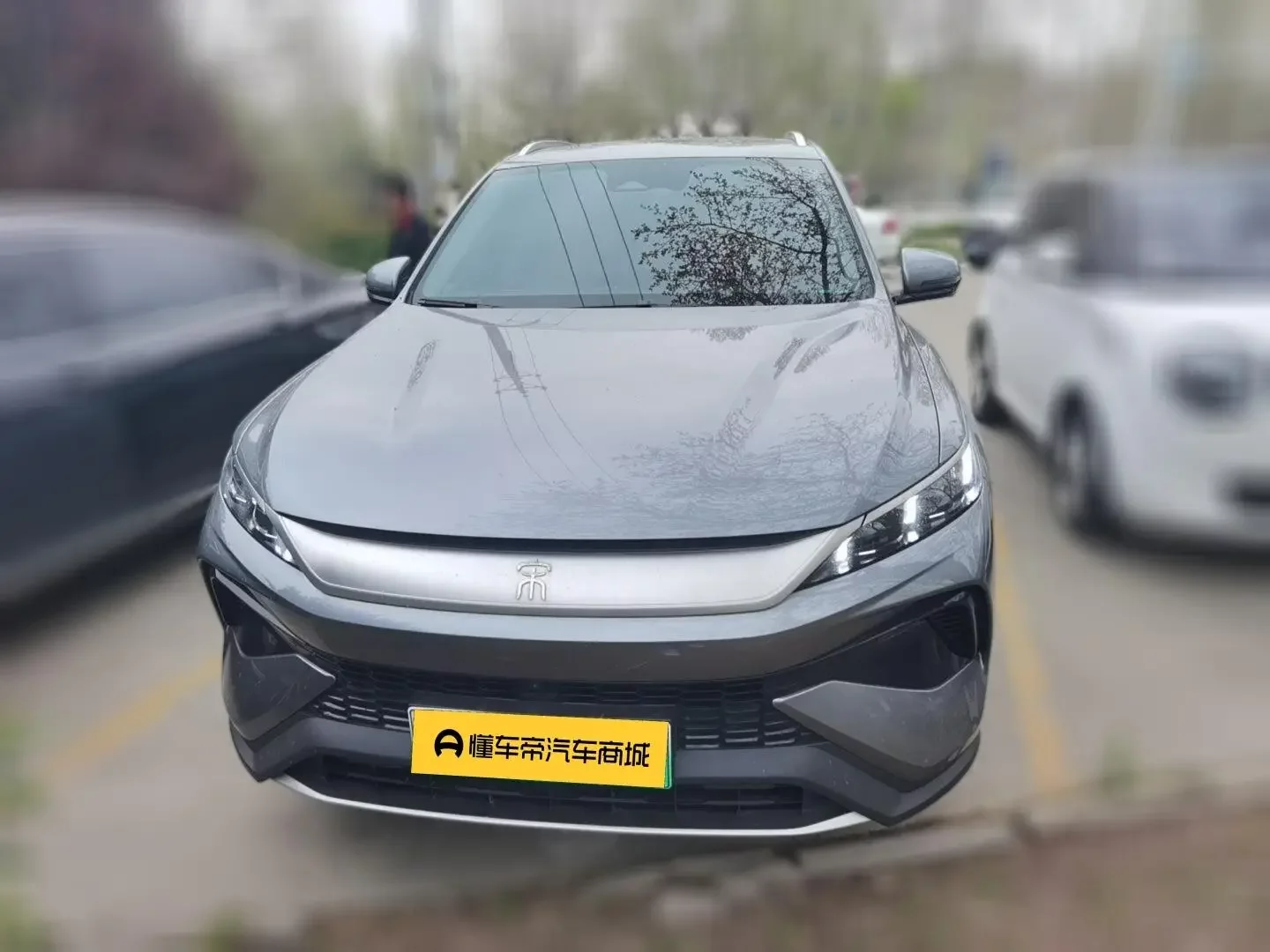 BYD Song Pro DM