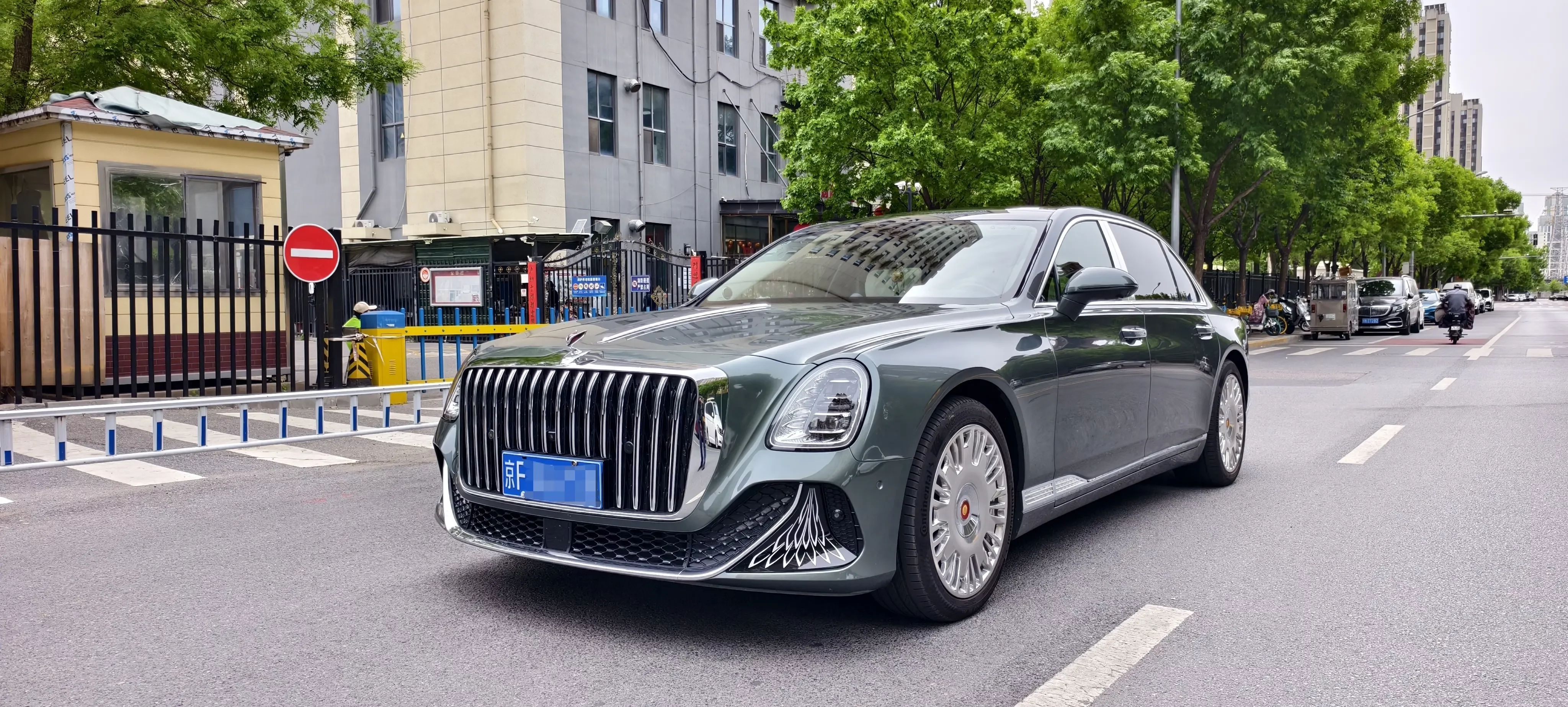 Hongqi Red Flag Golden Sunflower Country Elegance