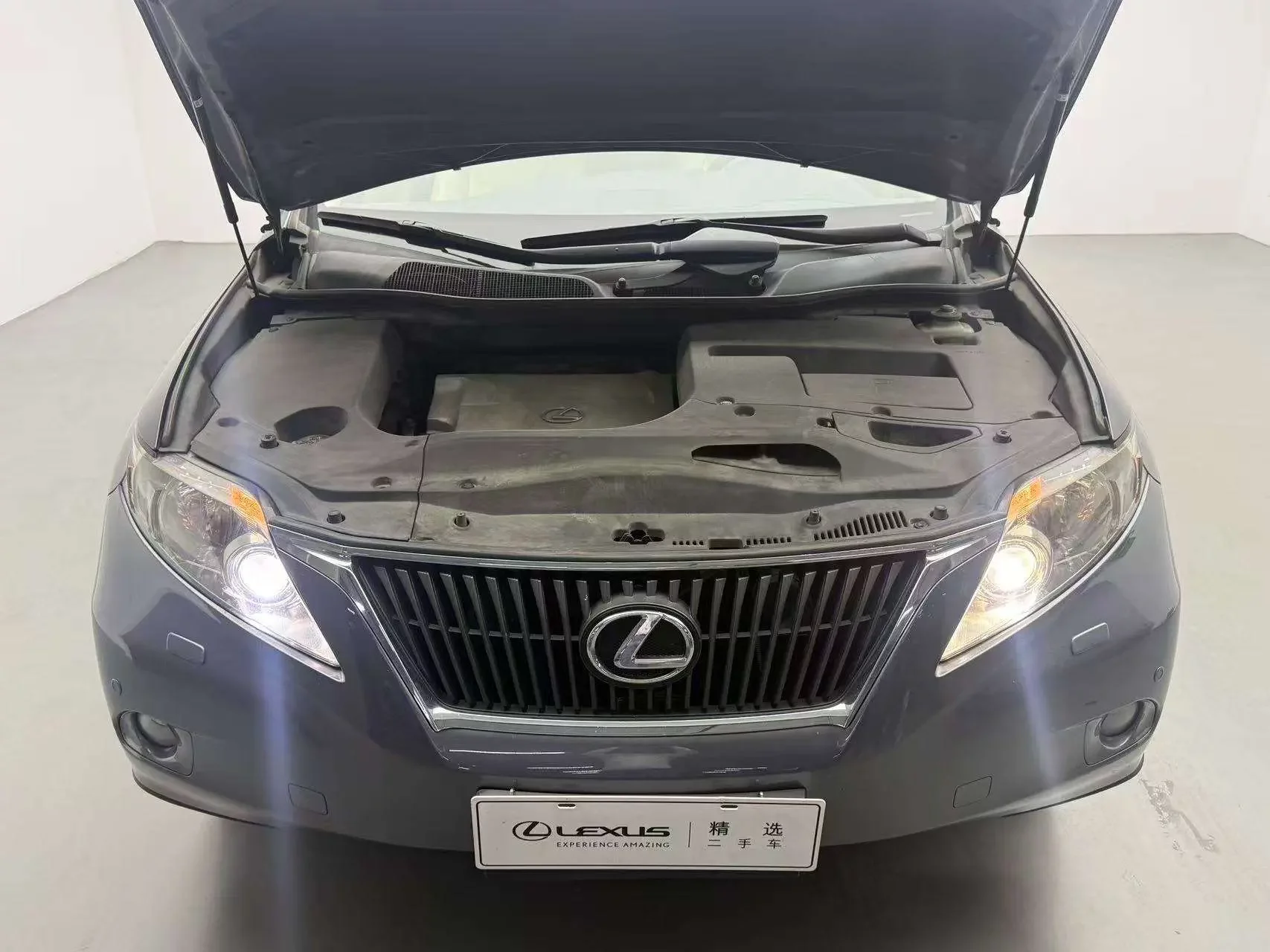 Lexus RX Classic