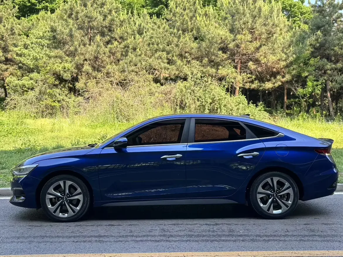 Hyundai Lafesta