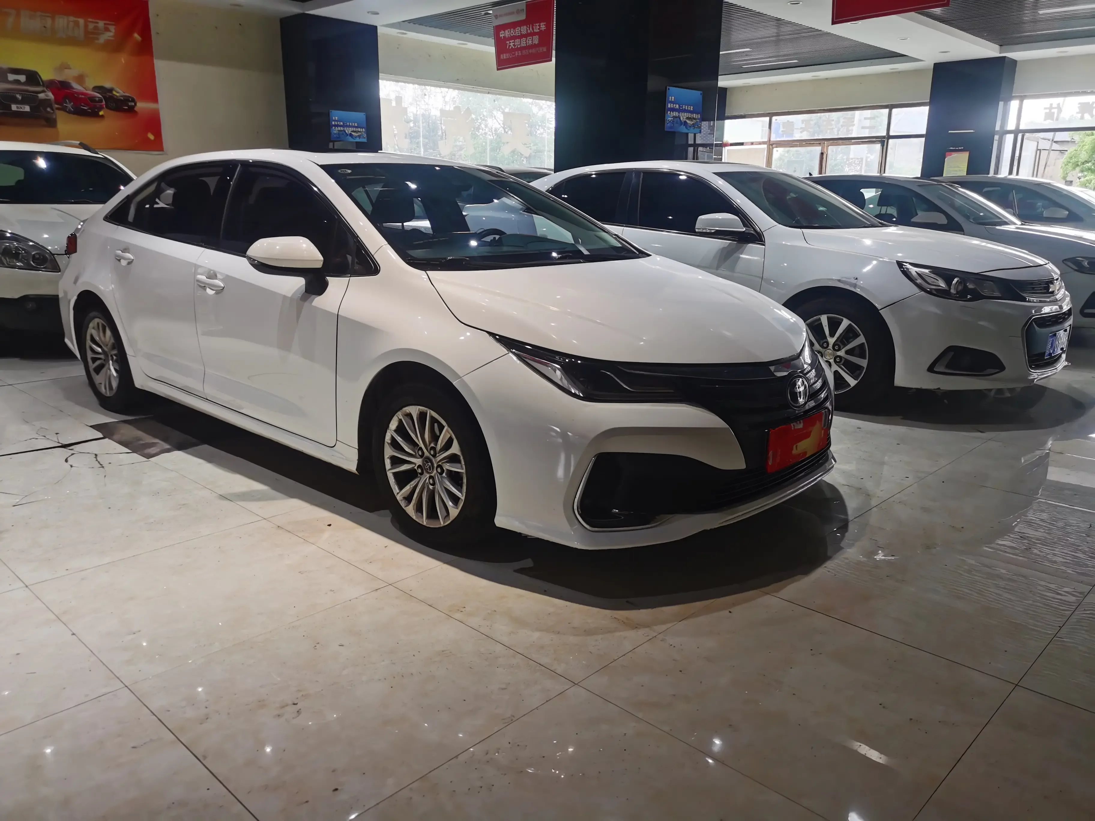 Toyota Asiatic lion