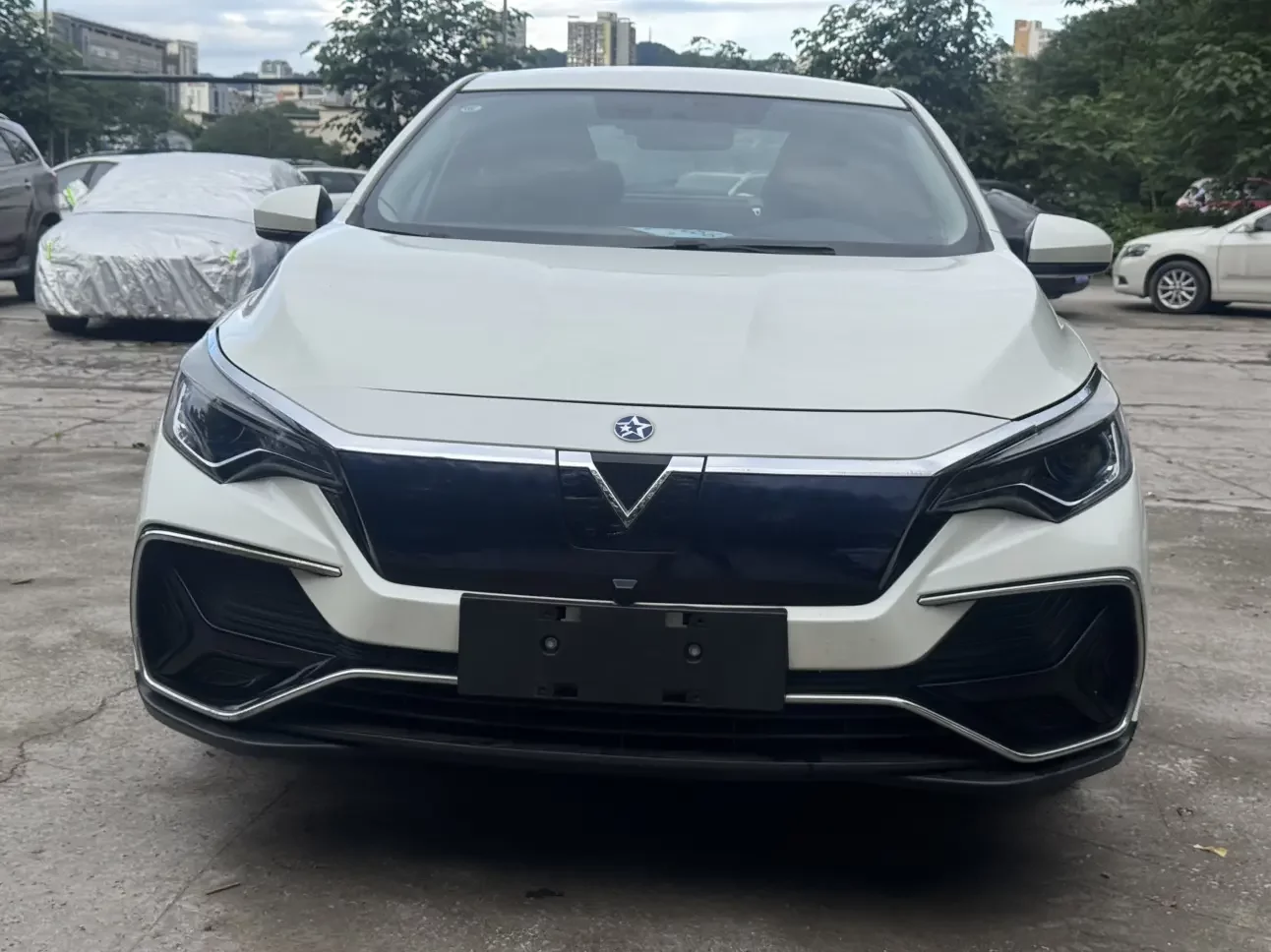 Kai Chen Venucia D60 EV