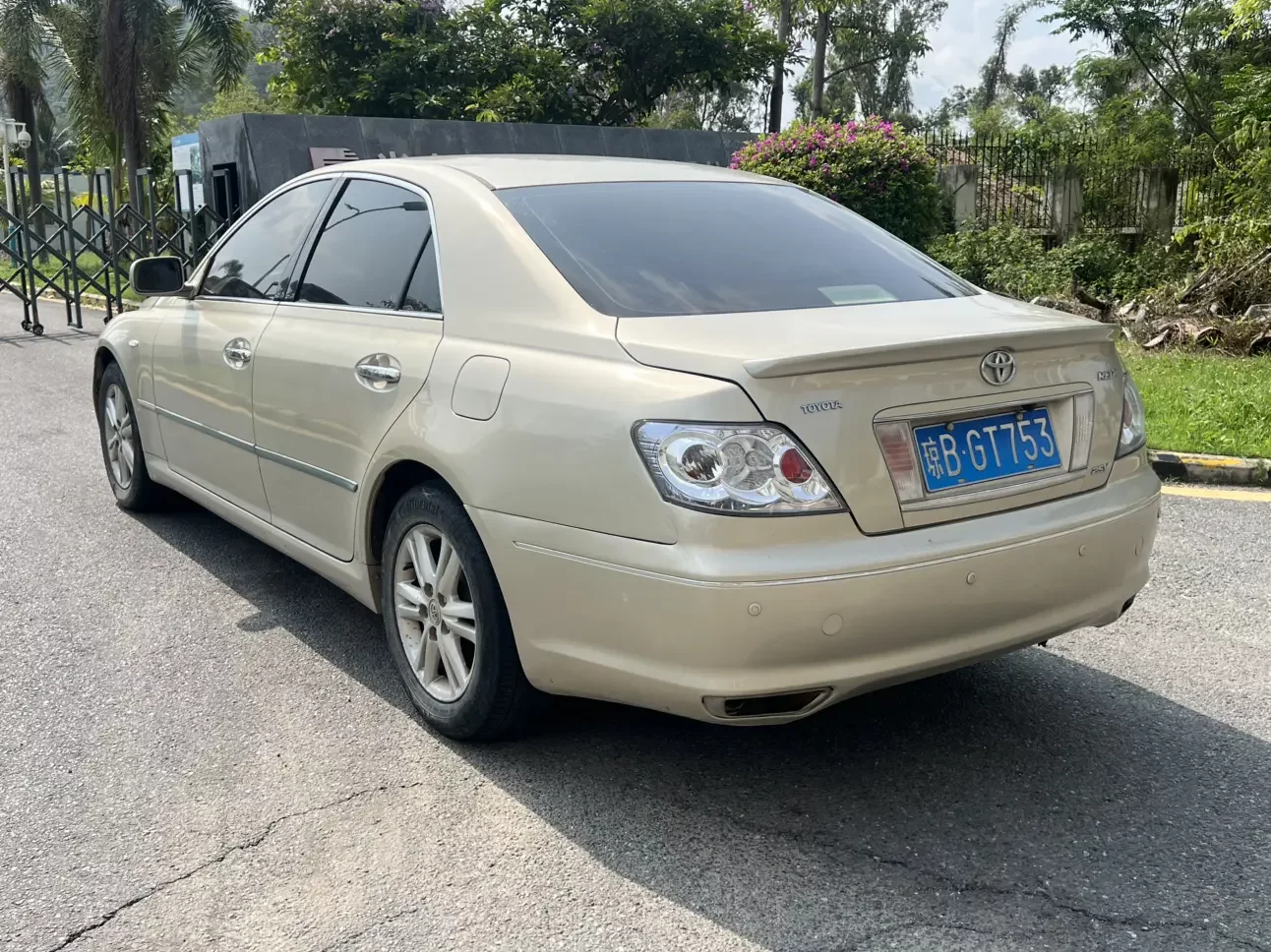 Toyota Ruizhi