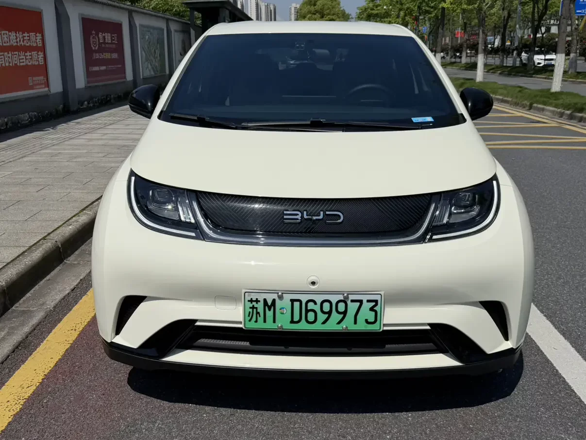 BYD dolphin