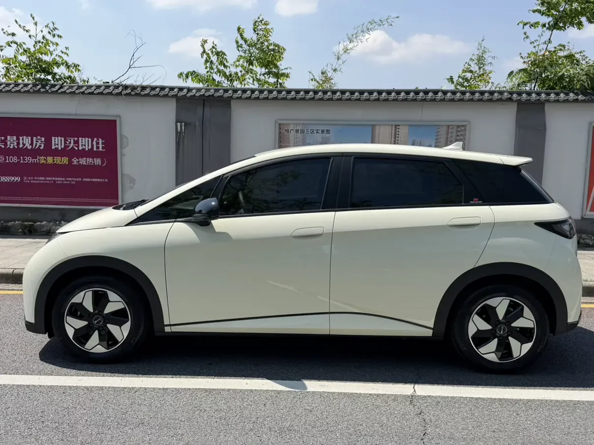 BYD dolphin