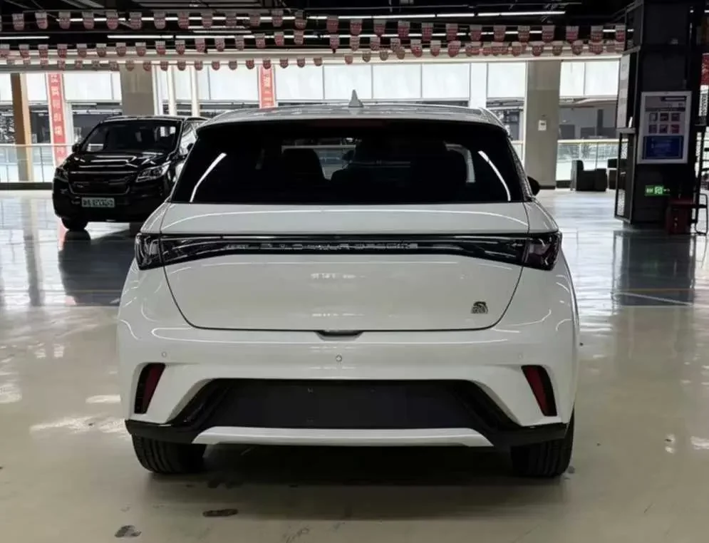 BYD dolphin