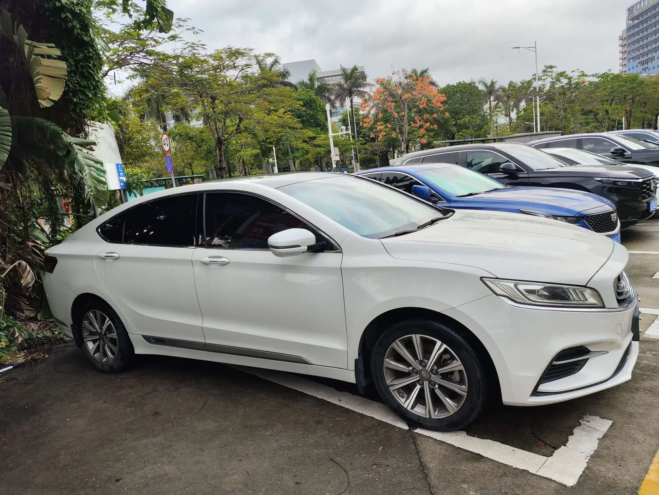 Geely Borui ePro  из Китая