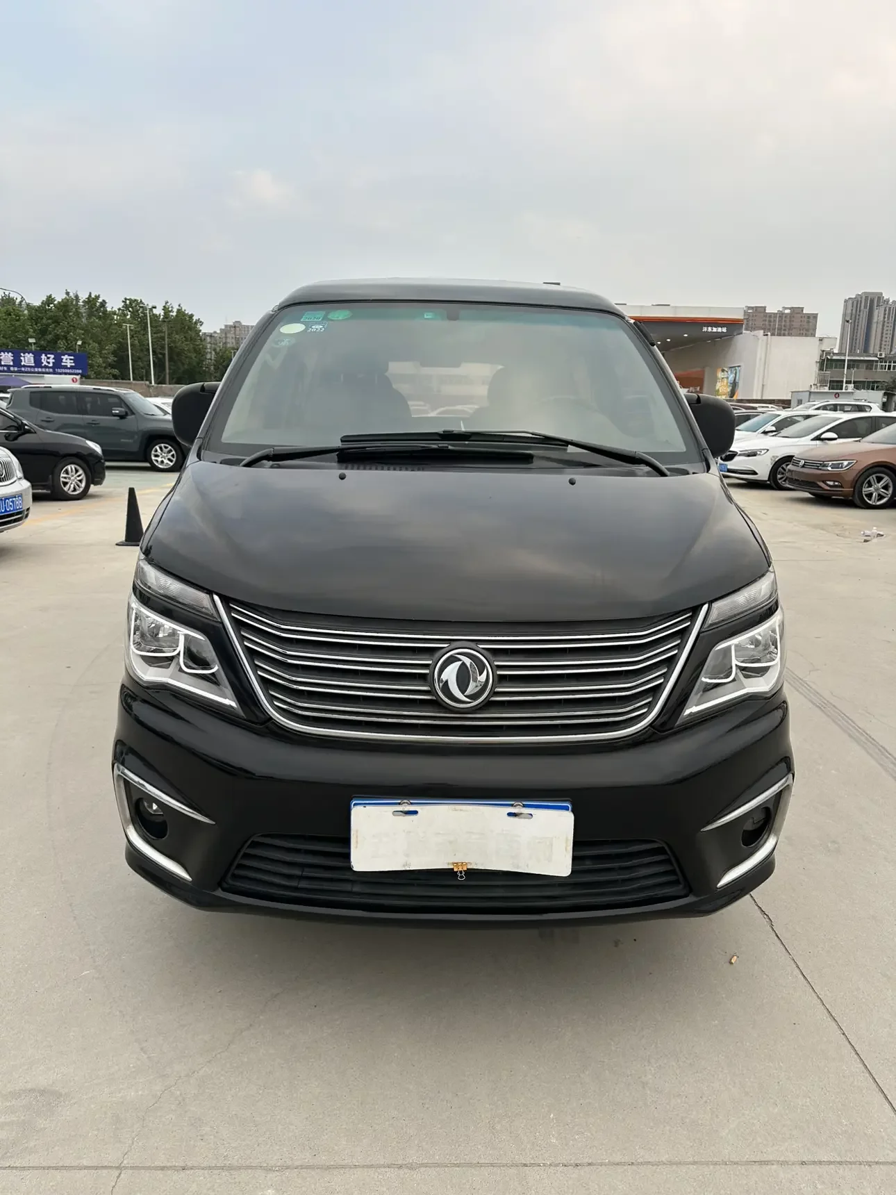 Forthing Lingzhi