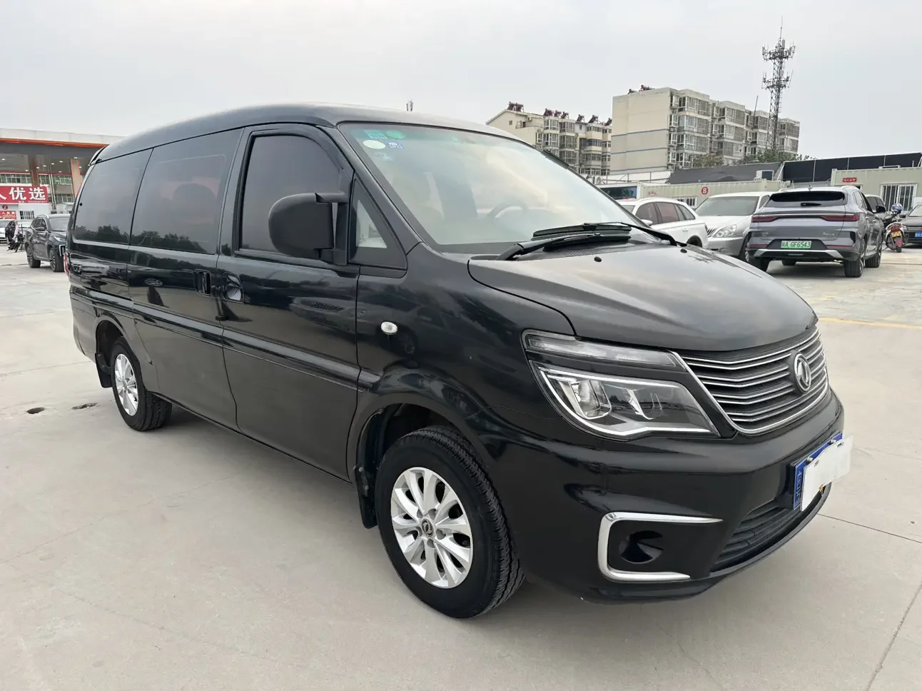 Forthing Lingzhi