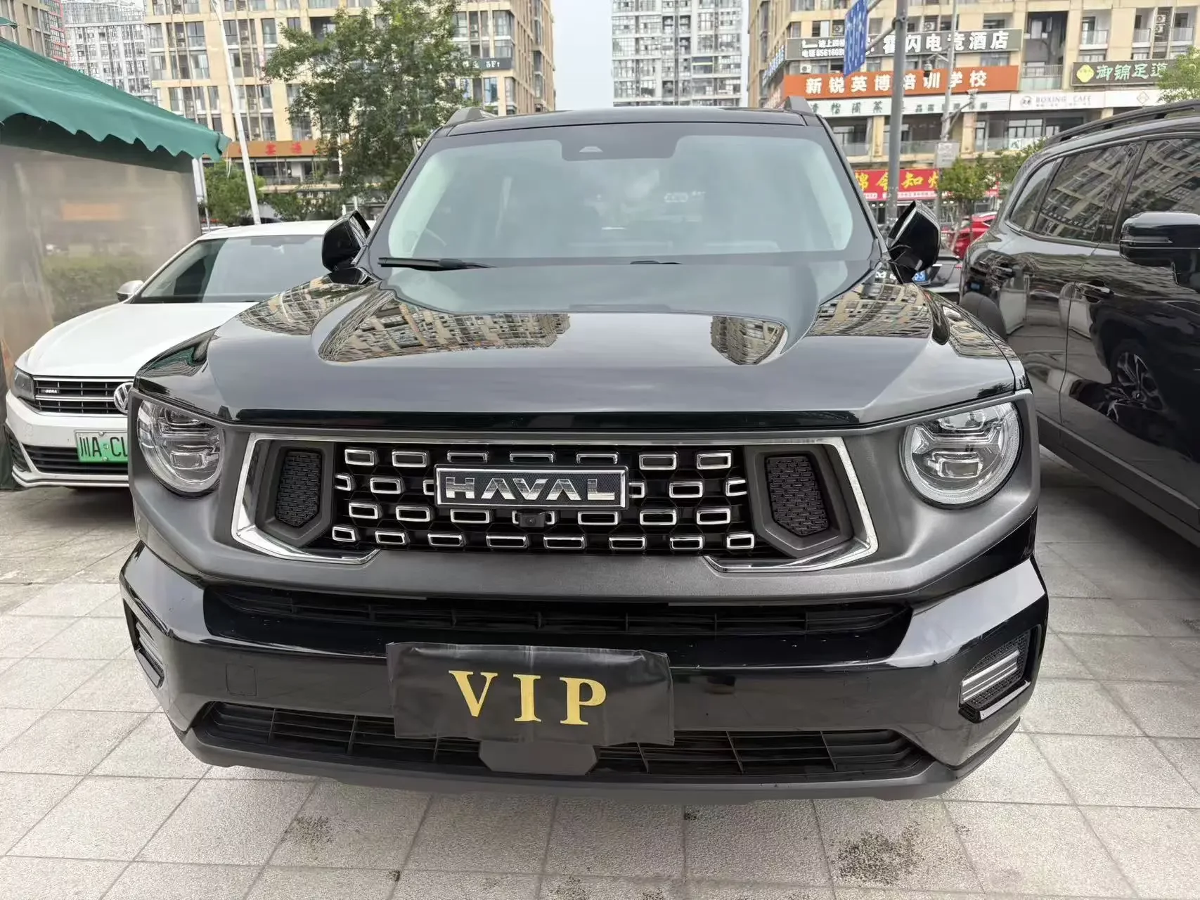 Haval H-Dog