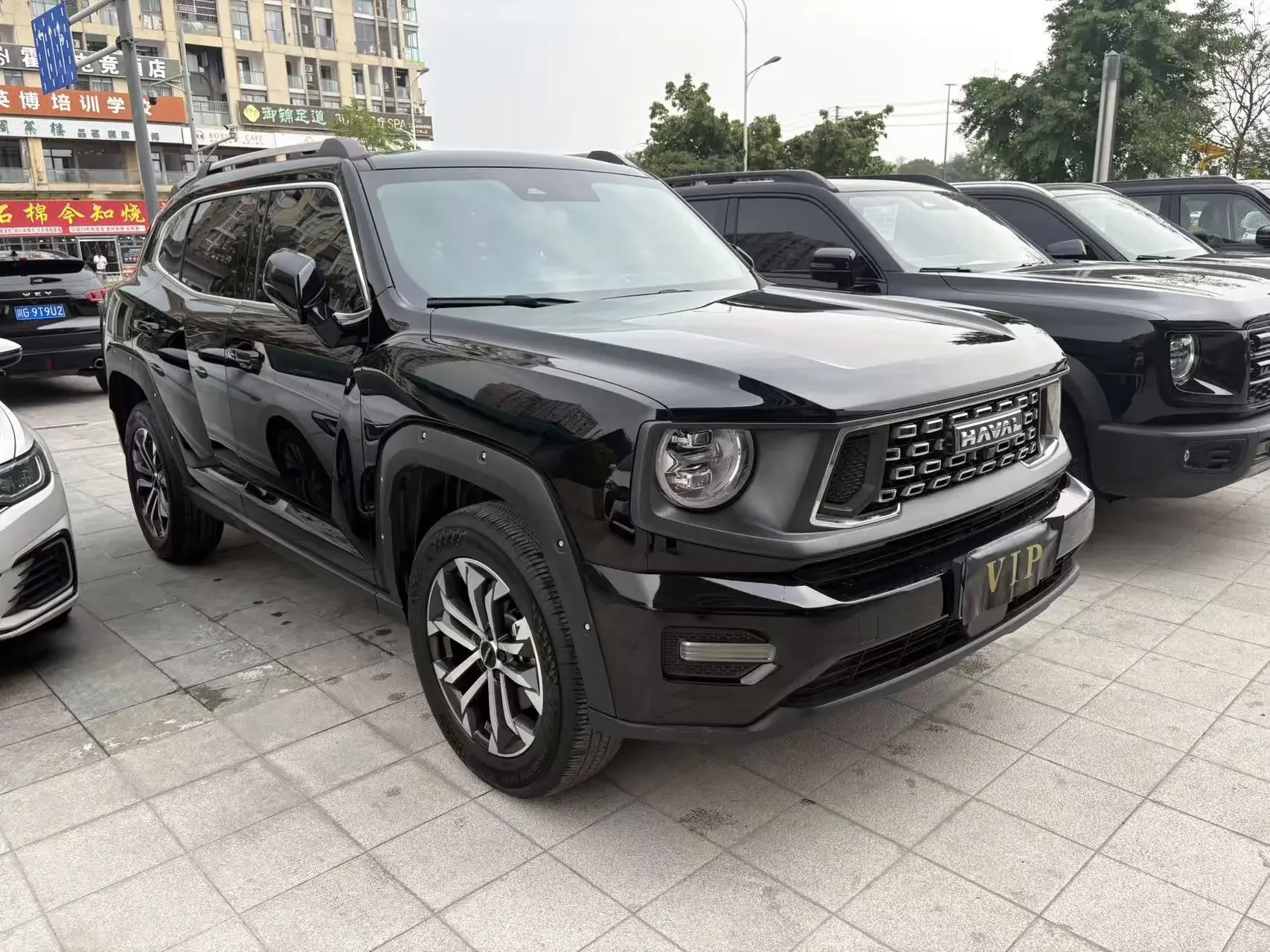 Haval H-Dog