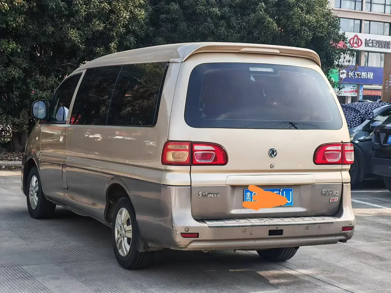 Forthing Lingzhi
