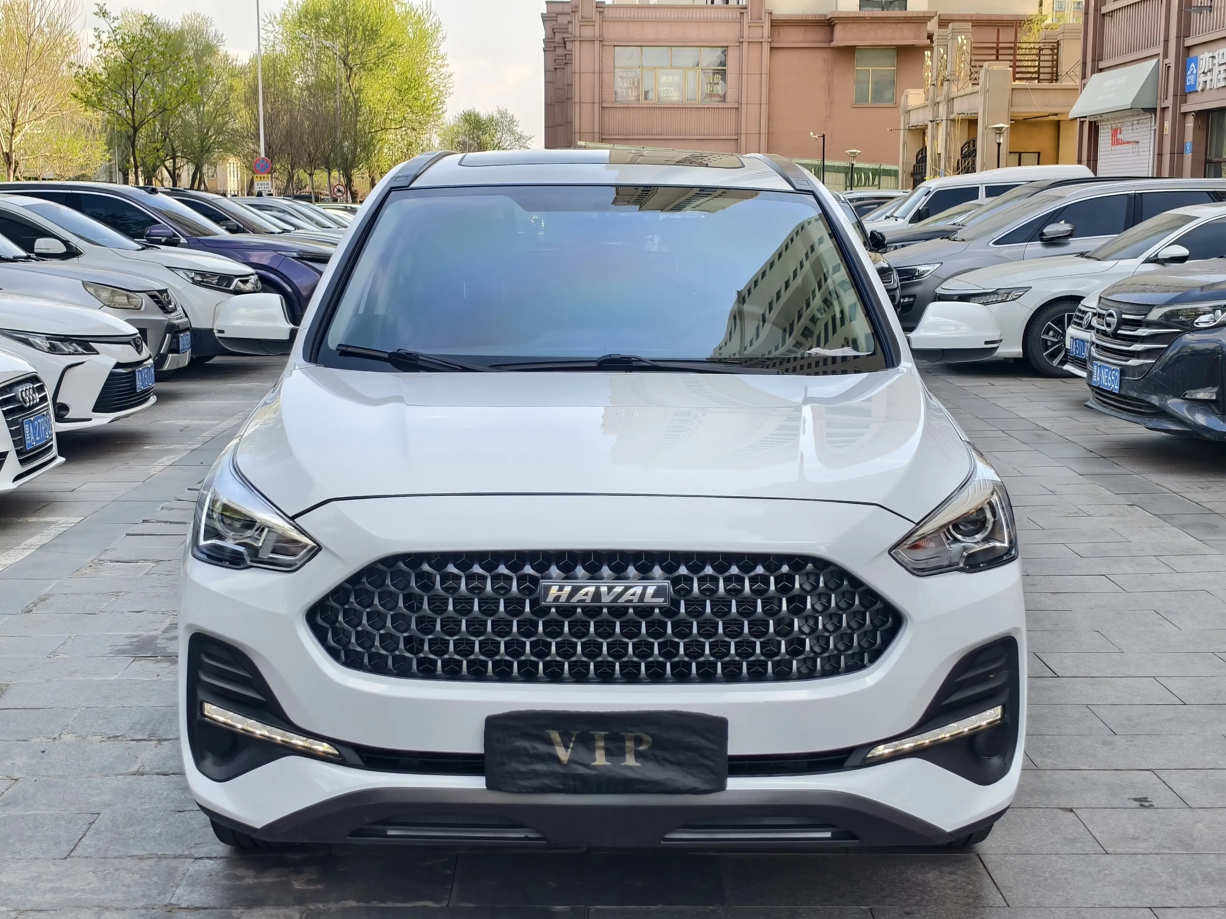 Haval M6