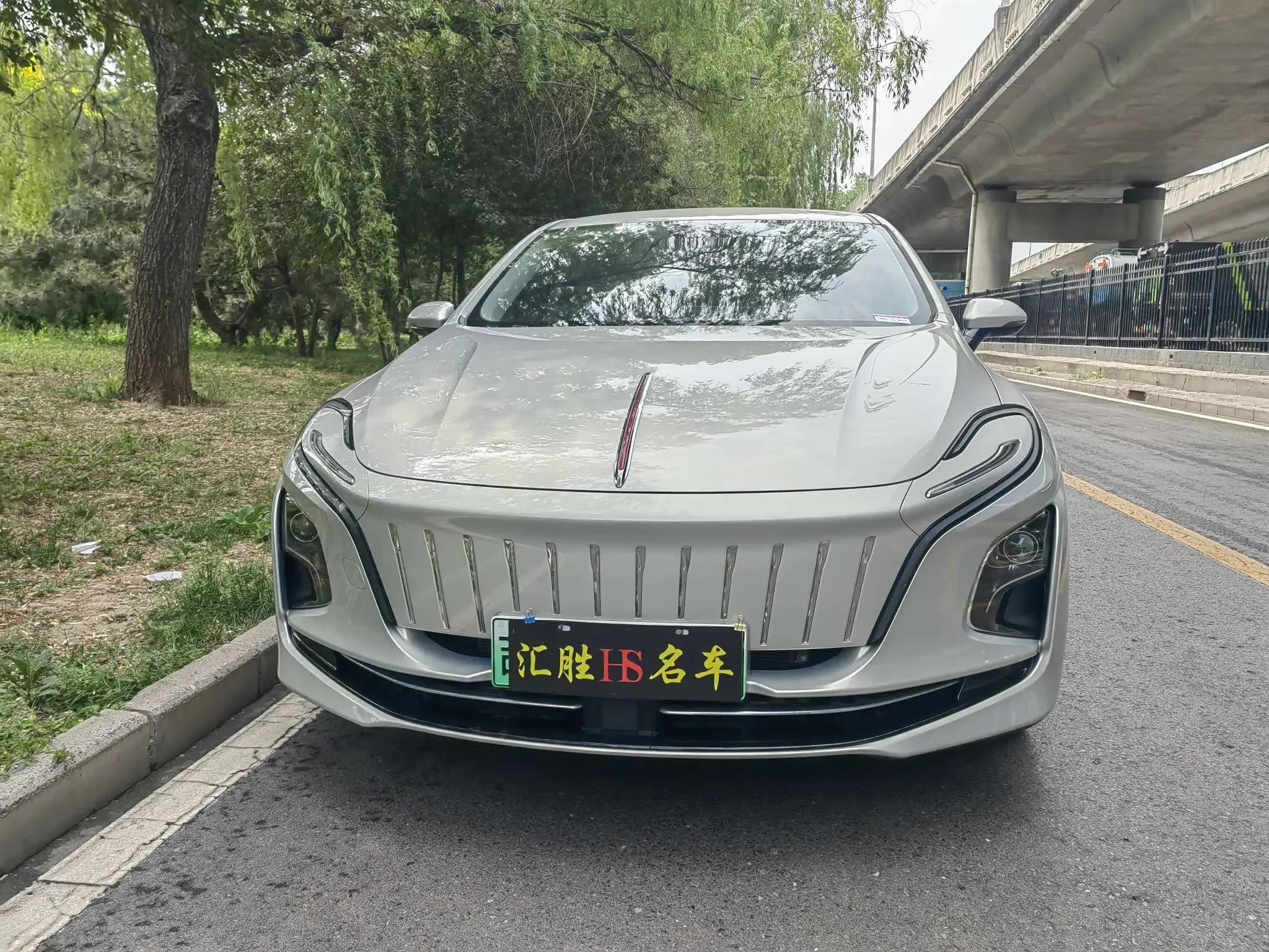 Hongqi E-QM5