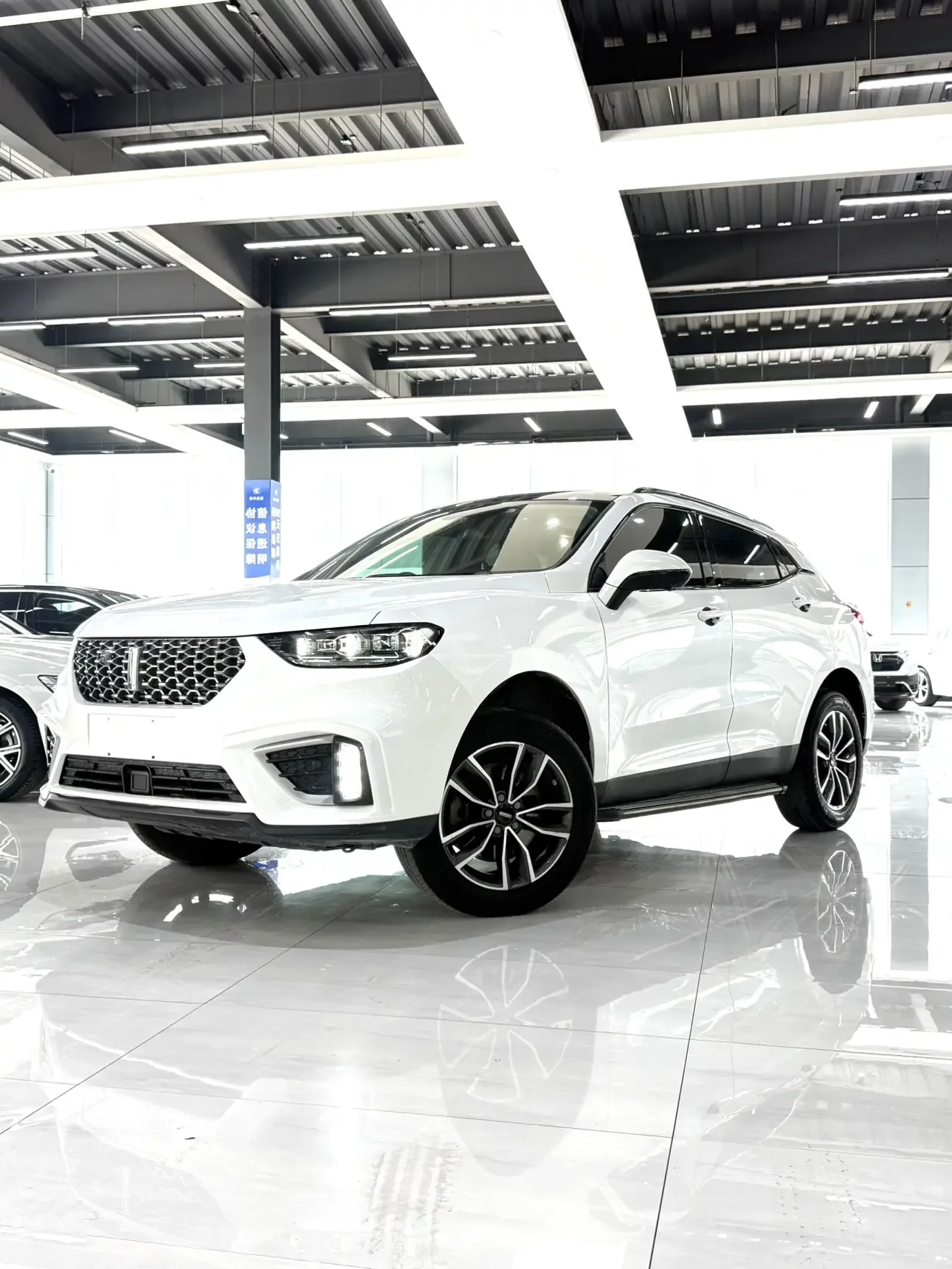Wey Wei brand VV5