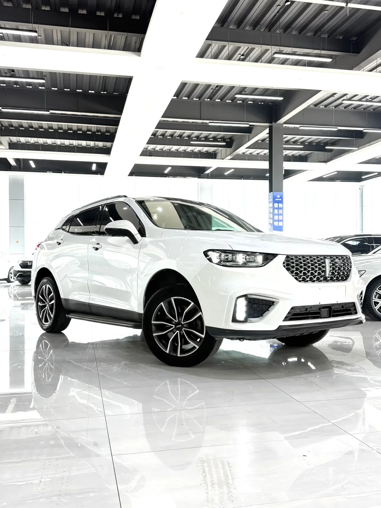 Wey Wei brand VV5