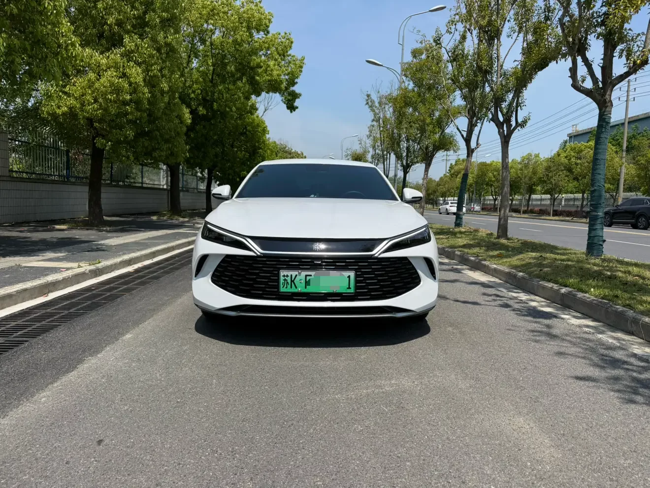 BYD Qin L DM