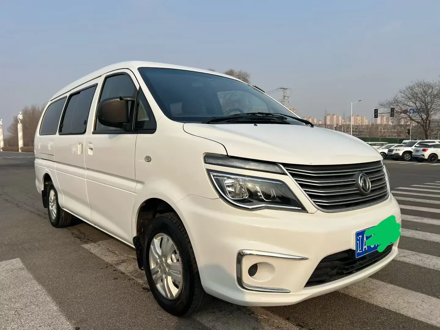 Forthing Lingzhi